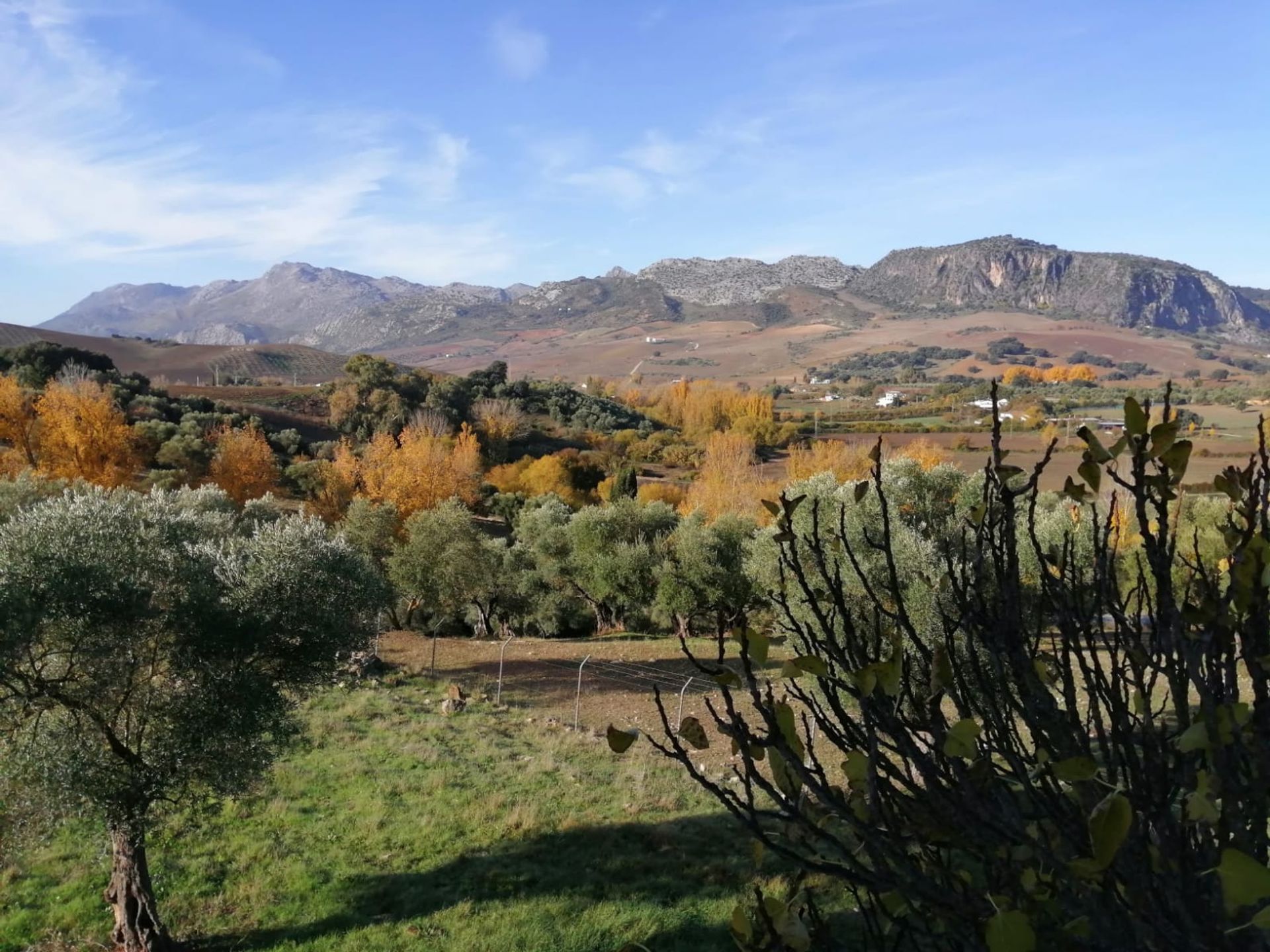 loger dans Ronda, Andalousie 11318398