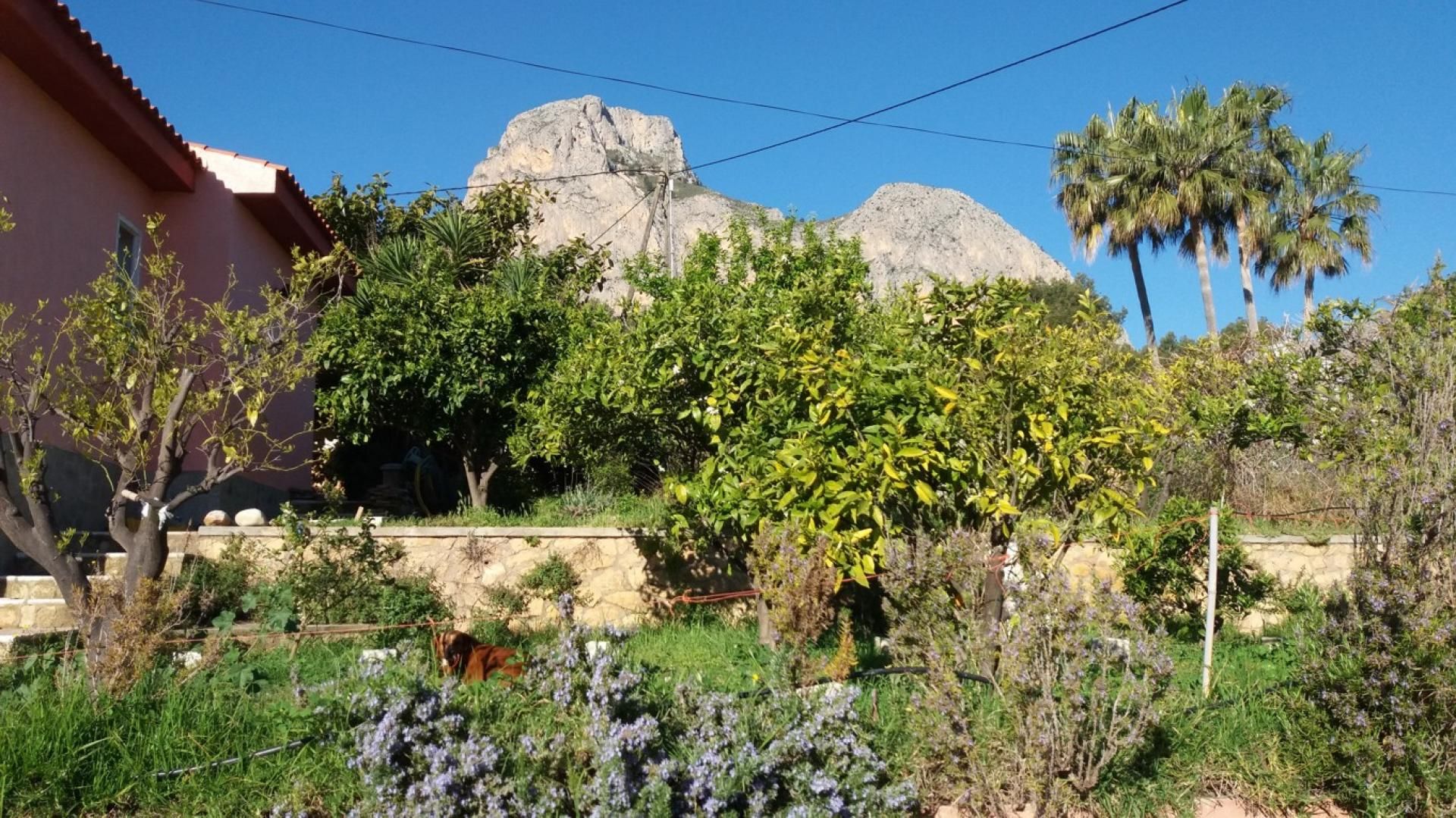 Casa nel Benimantell, Comunidad Valenciana 11318792