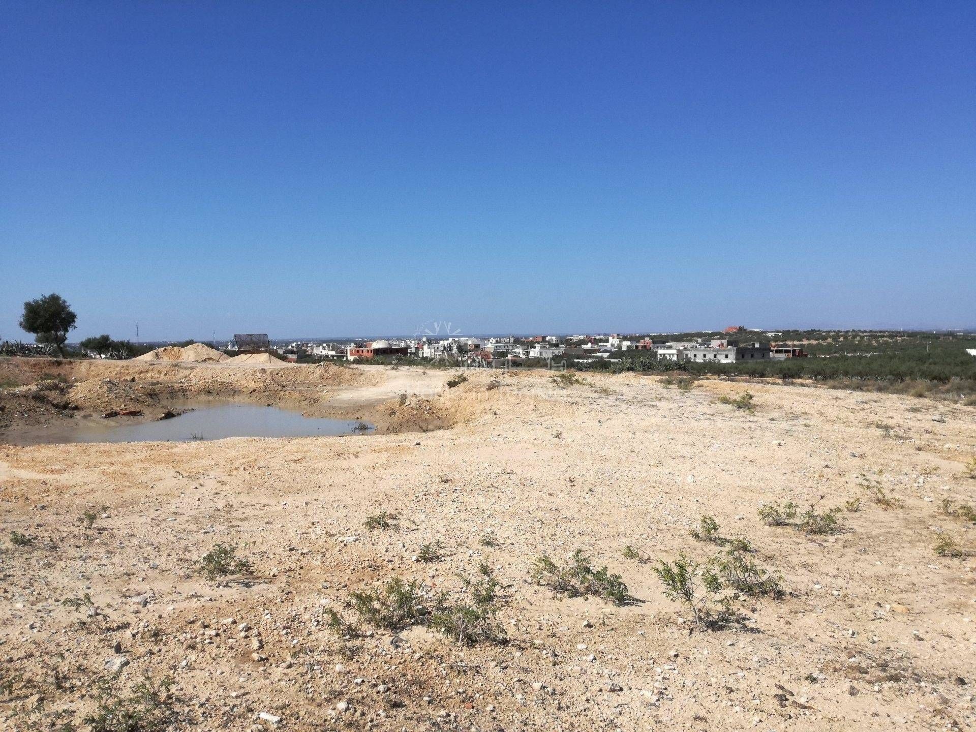 土地 在 Sidi Bou Ali, Gouvernorat de Sousse 11318872