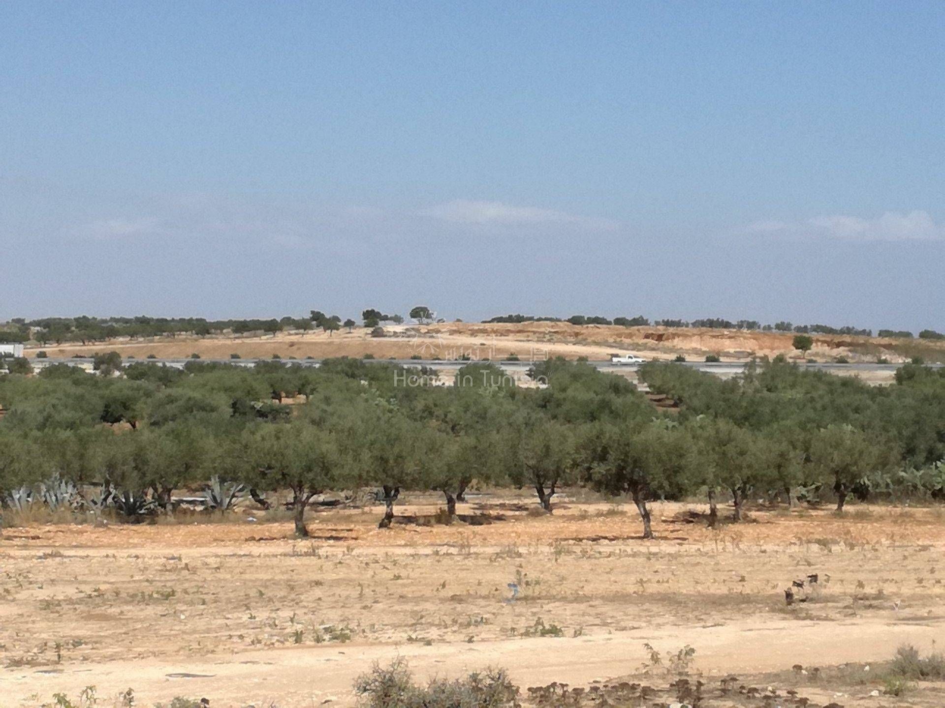 土地 在 Sidi Bou Ali, Gouvernorat de Sousse 11318910