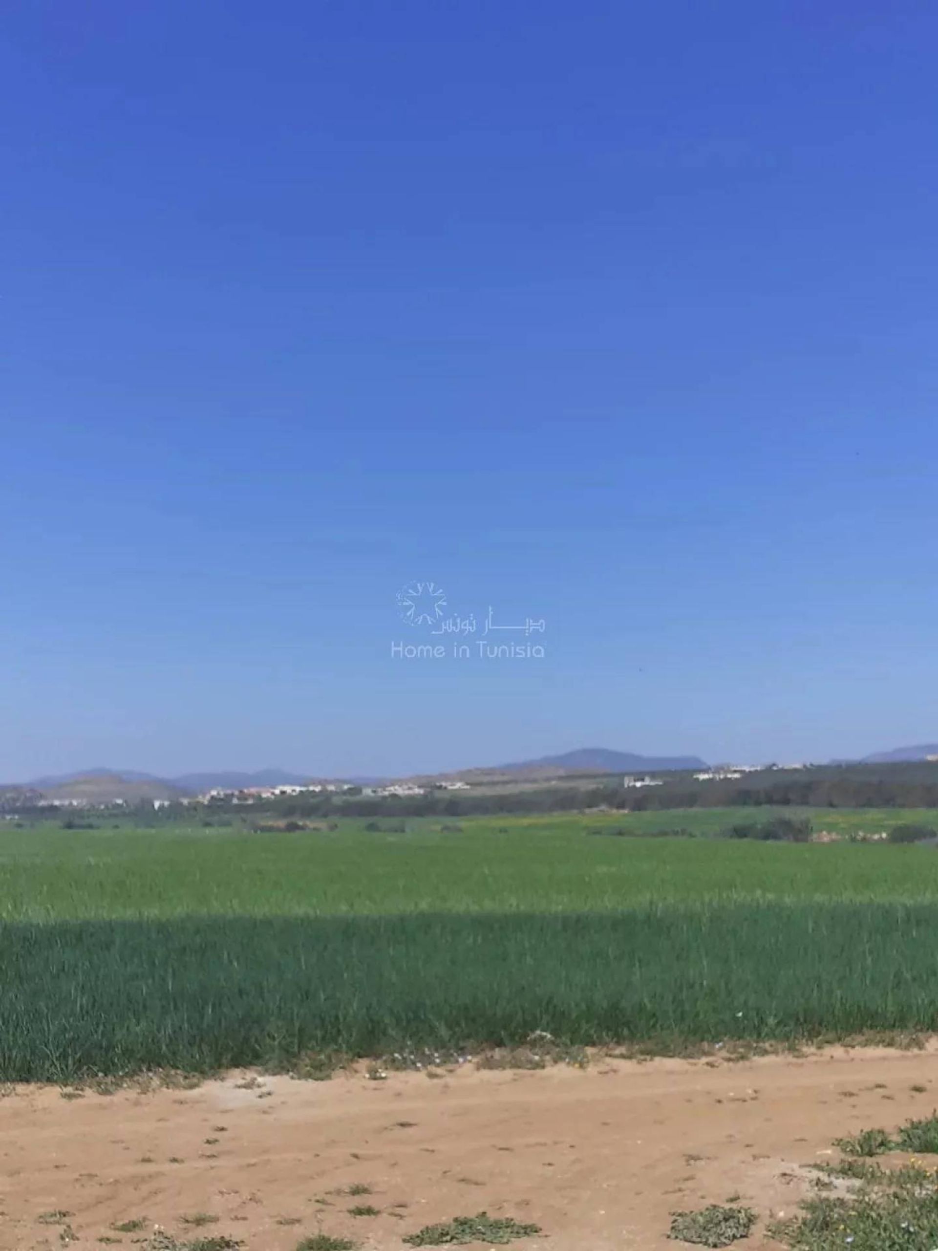 Land in Bir Bou Rekba, Nabeul 11319097