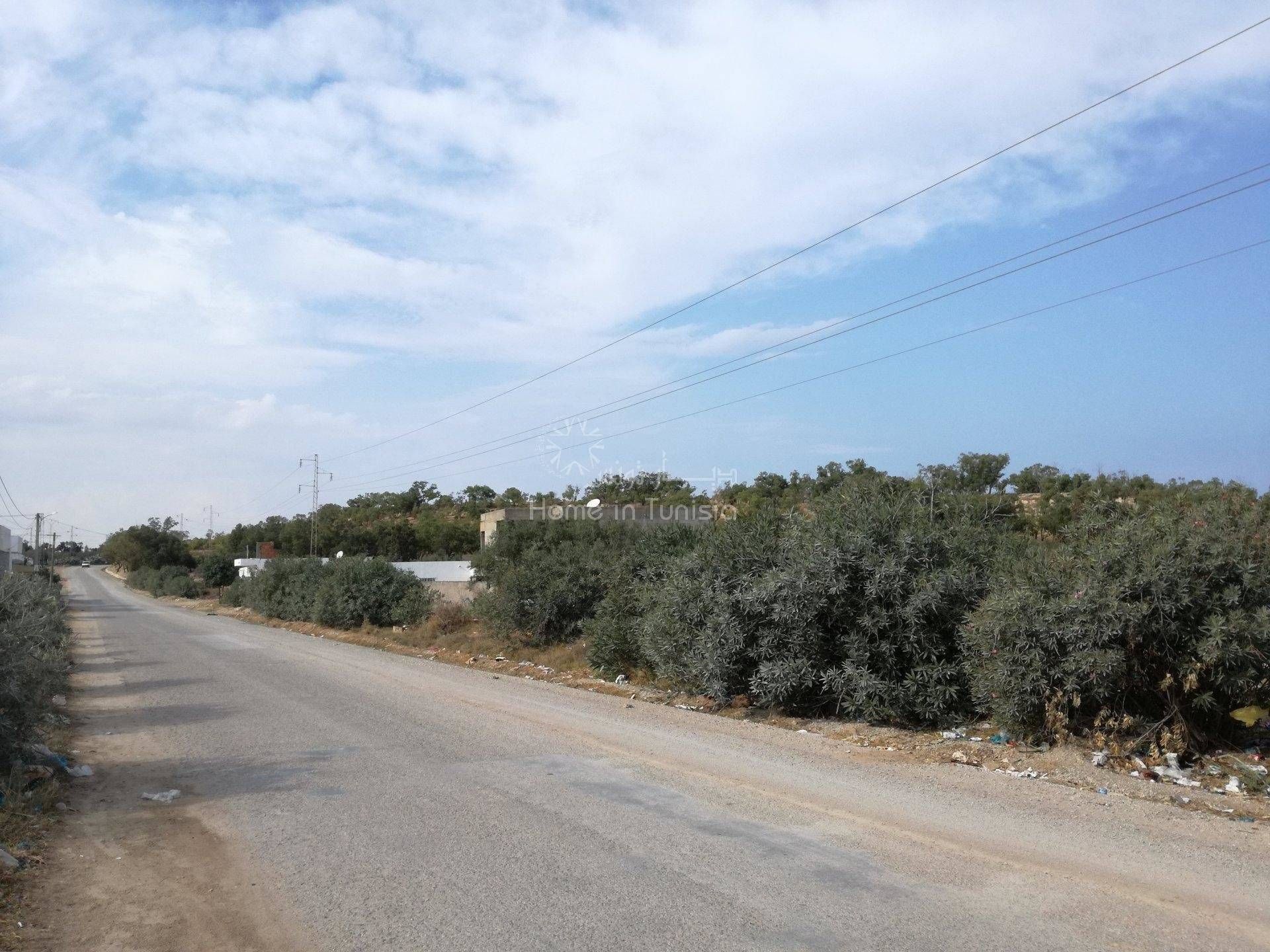 Tanah di Akouda, Sousse 11319322