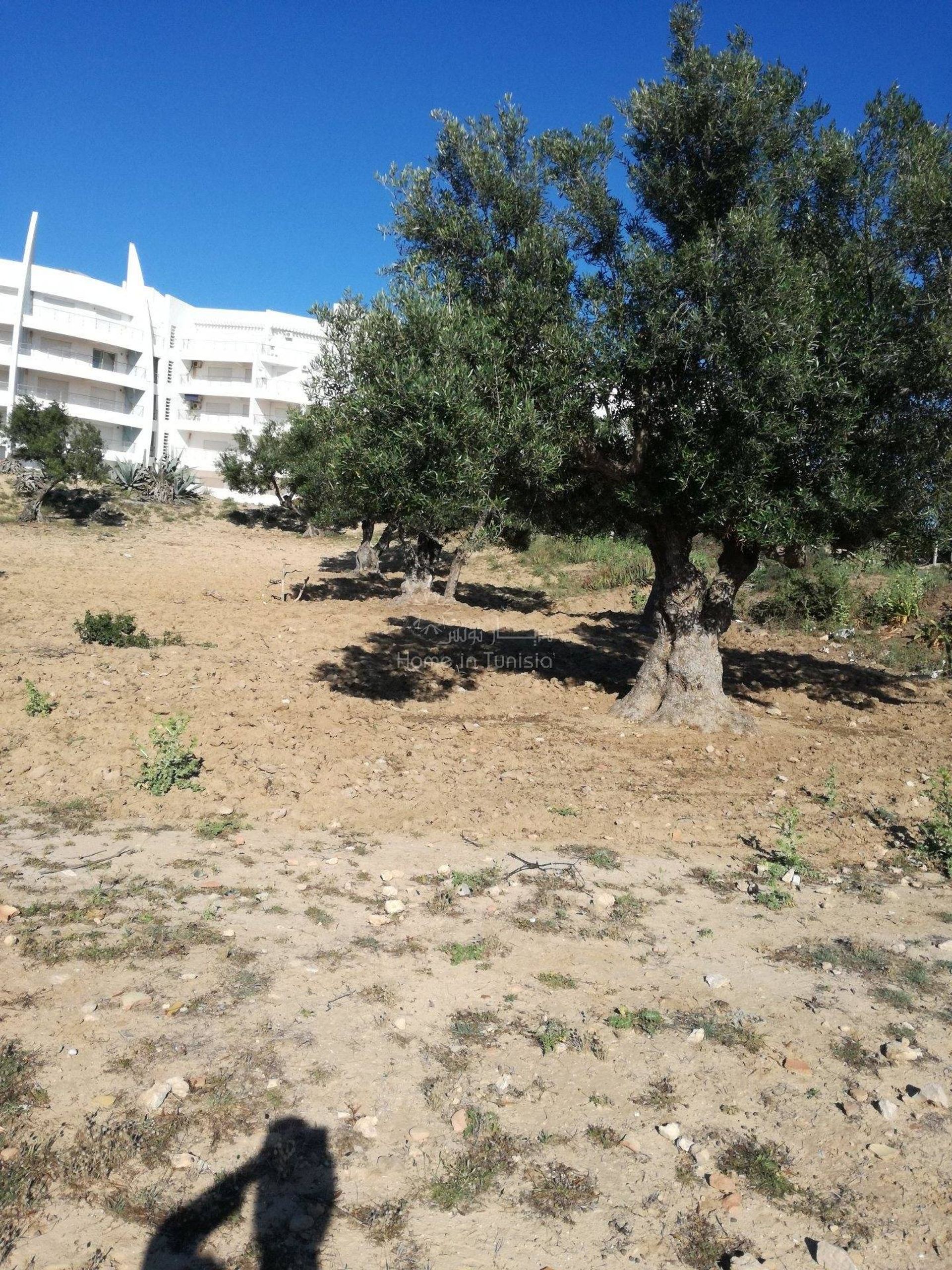 Terre dans Hergla, Sousse 11319488