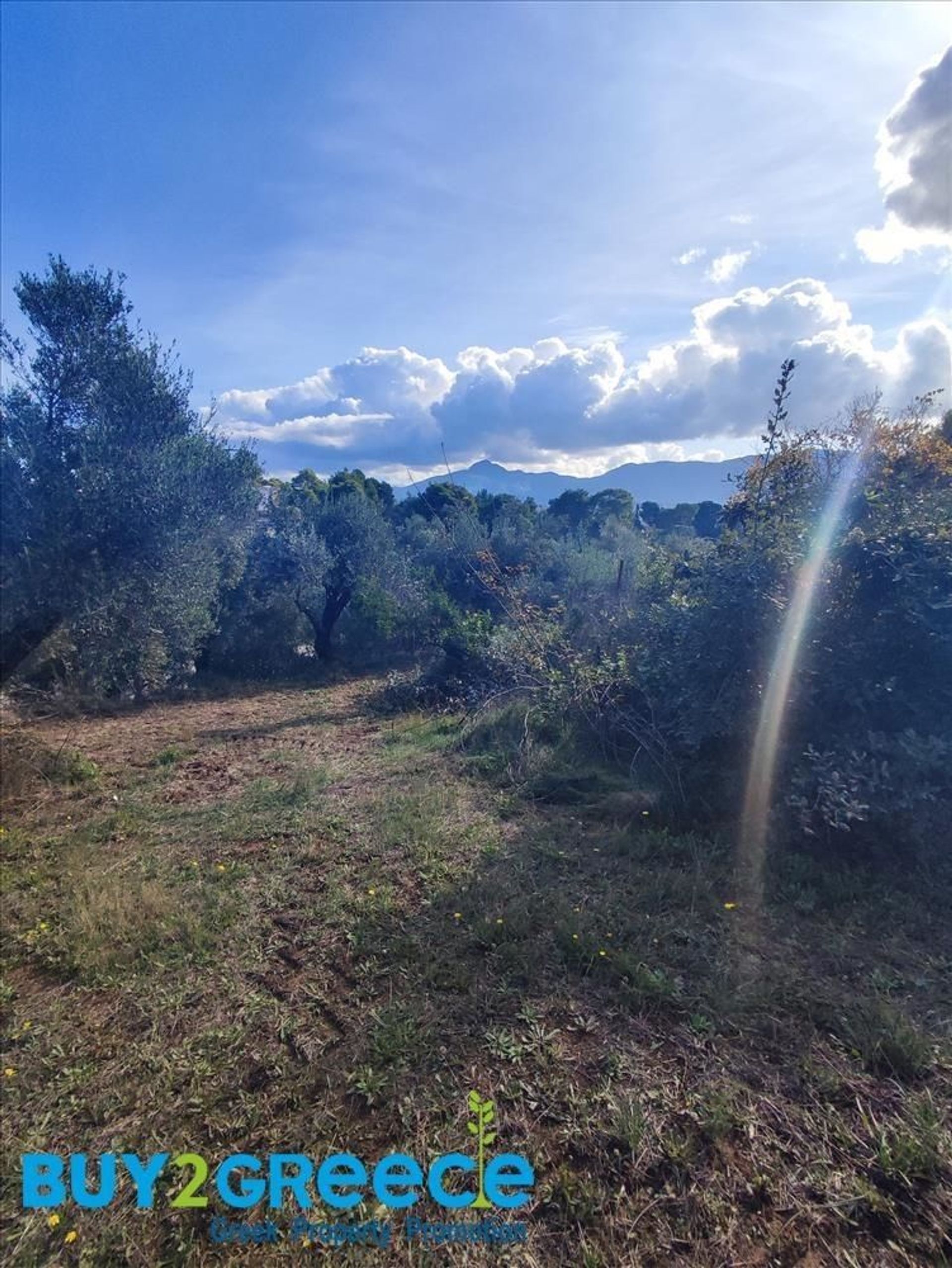 Terre dans Archée Olympie, Dytiki Ellada 11320736