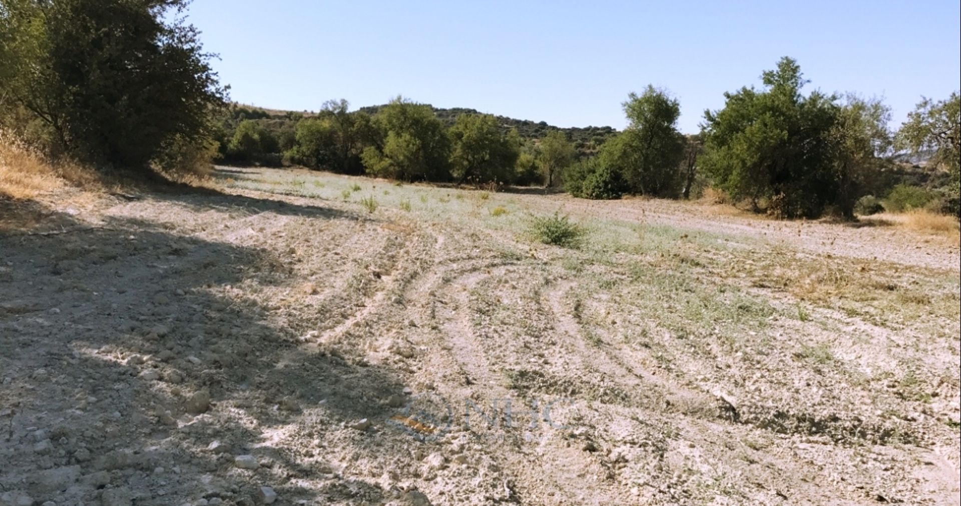 Γη σε Μέσα Χωριό, Πάφος 11320843