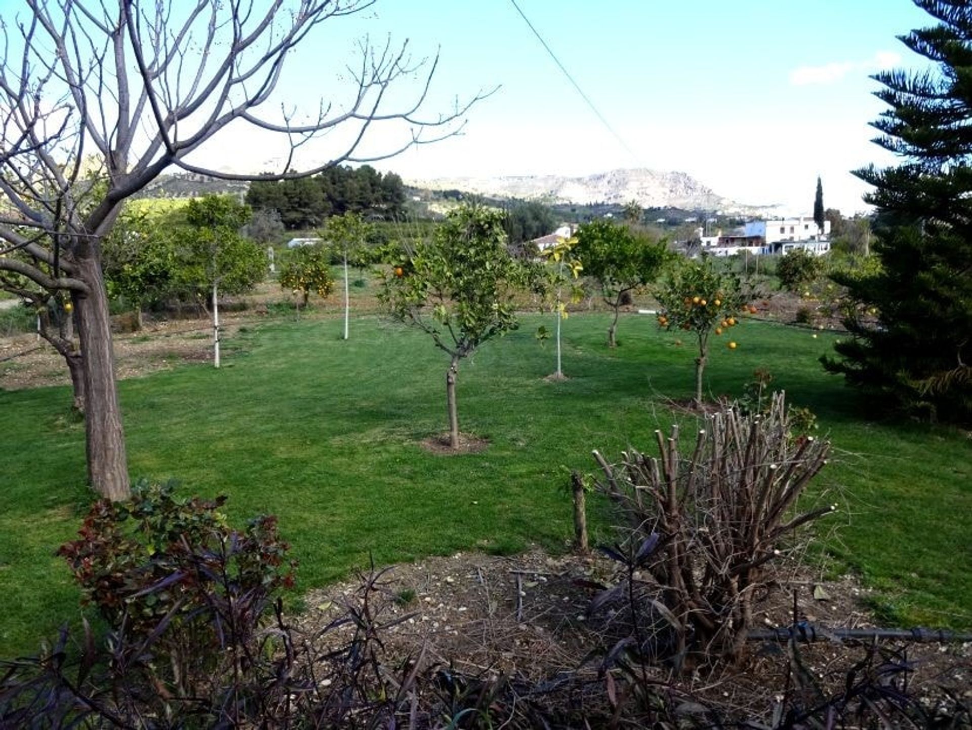 casa en Álora, Andalucía 11320980