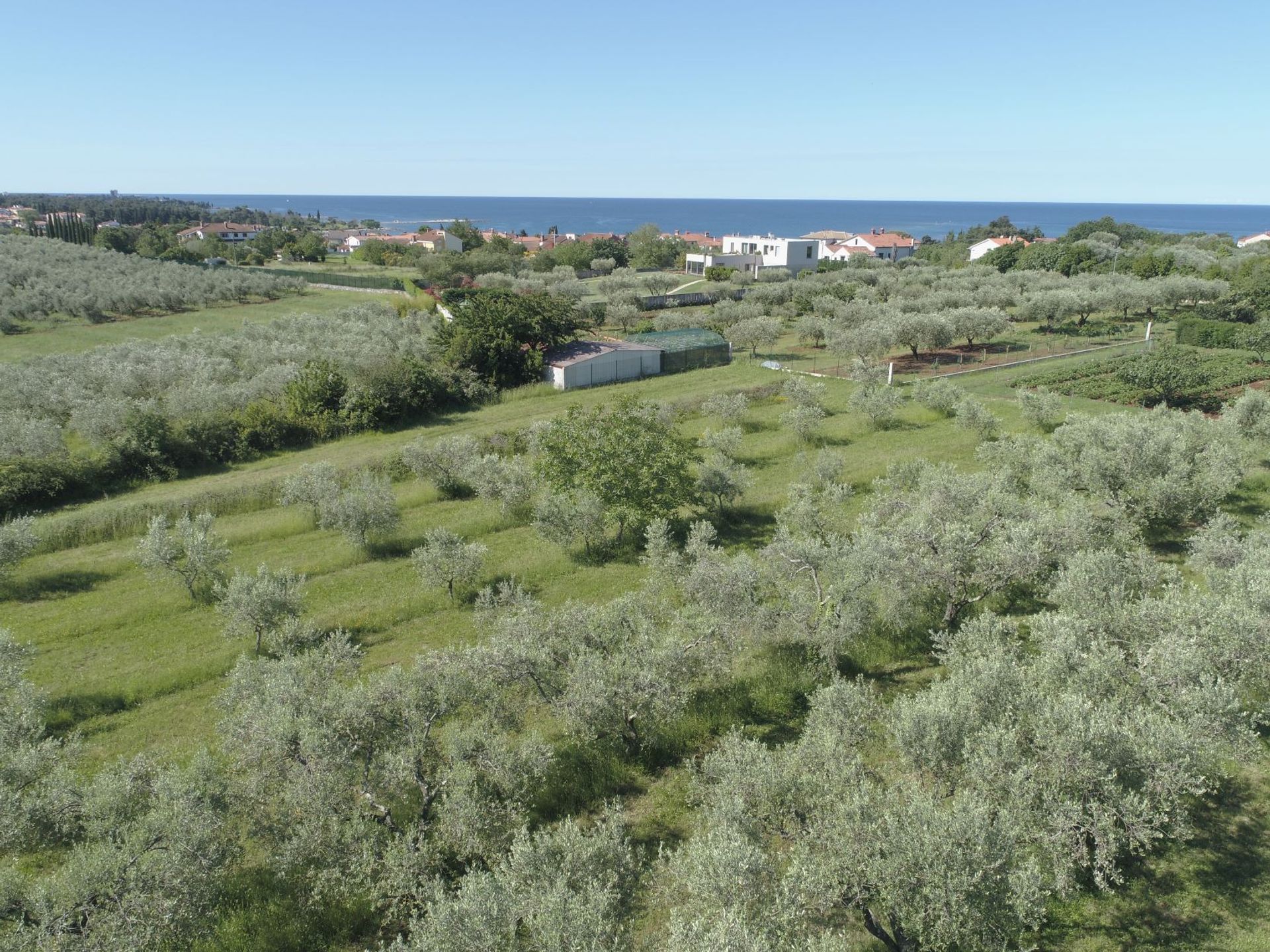 Condominio nel Umag, Istria County 11321234