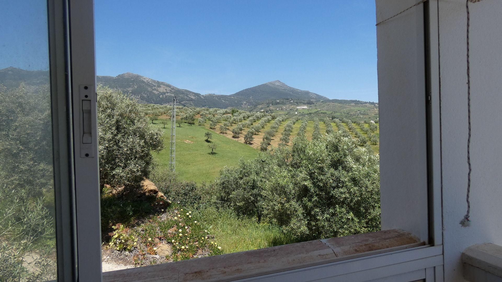 casa en Casarabonela, Andalucía 11322383