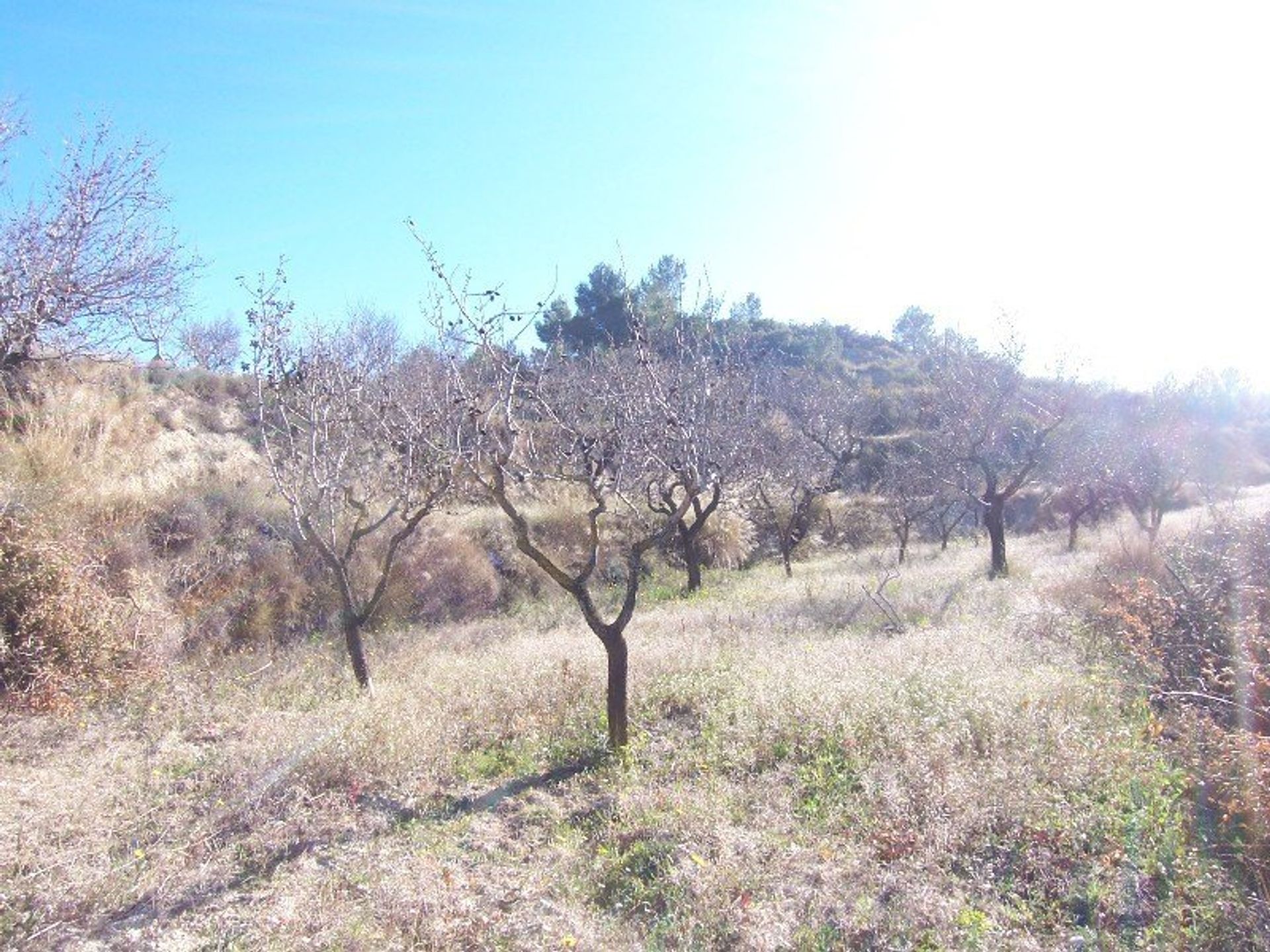 Tierra en , Comunidad Valenciana 11323006