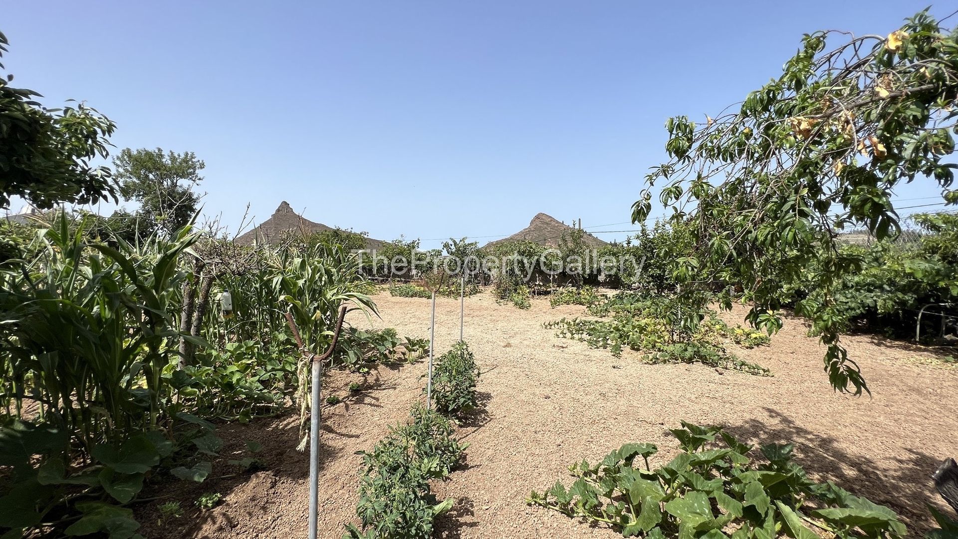 casa en Vilaflor, Canarias 11323080