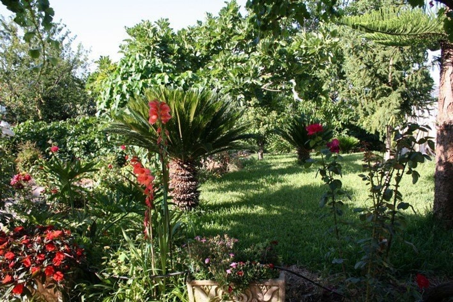 casa en Pedreguer, Comunidad Valenciana 11323336