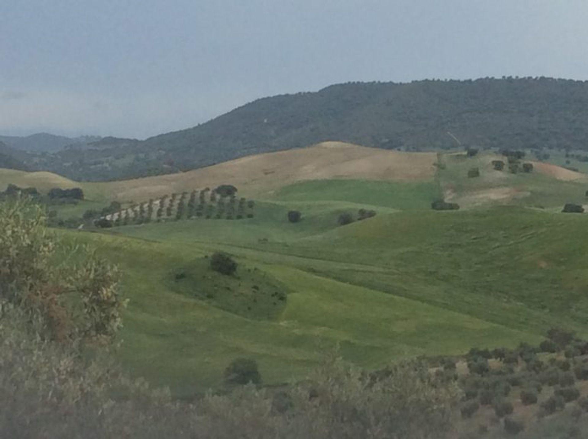 Rumah di Algodonales, Andalucía 11323701