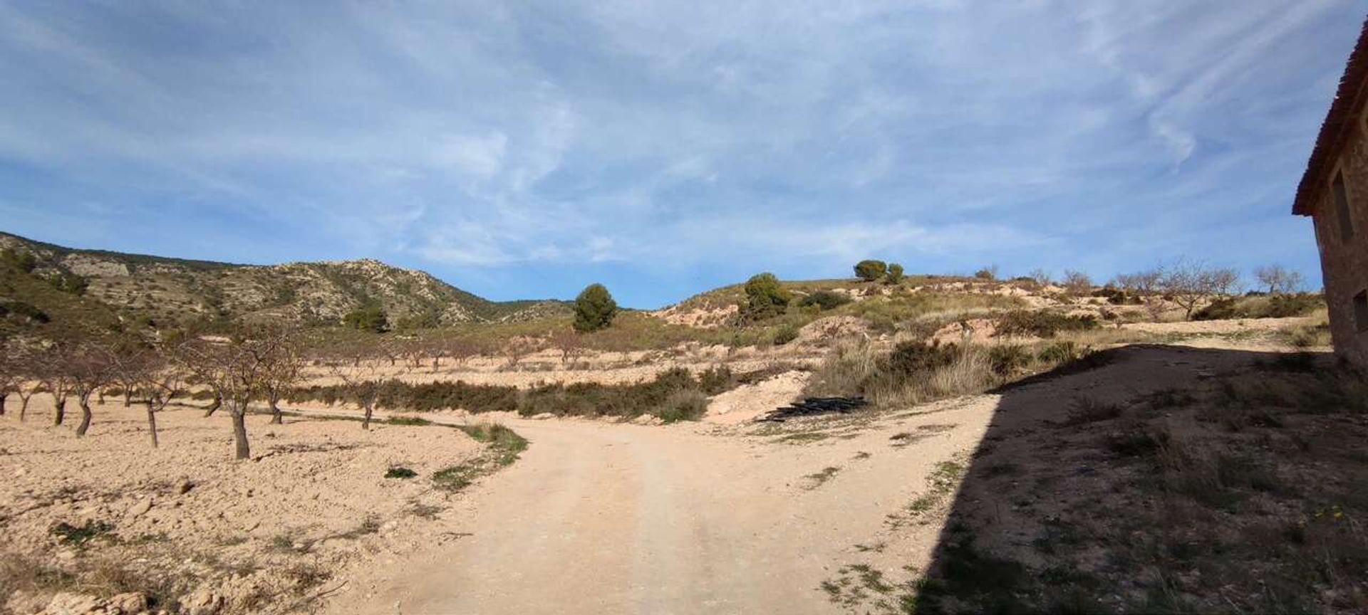 loger dans Jumilla, Región de Murcia 11324366