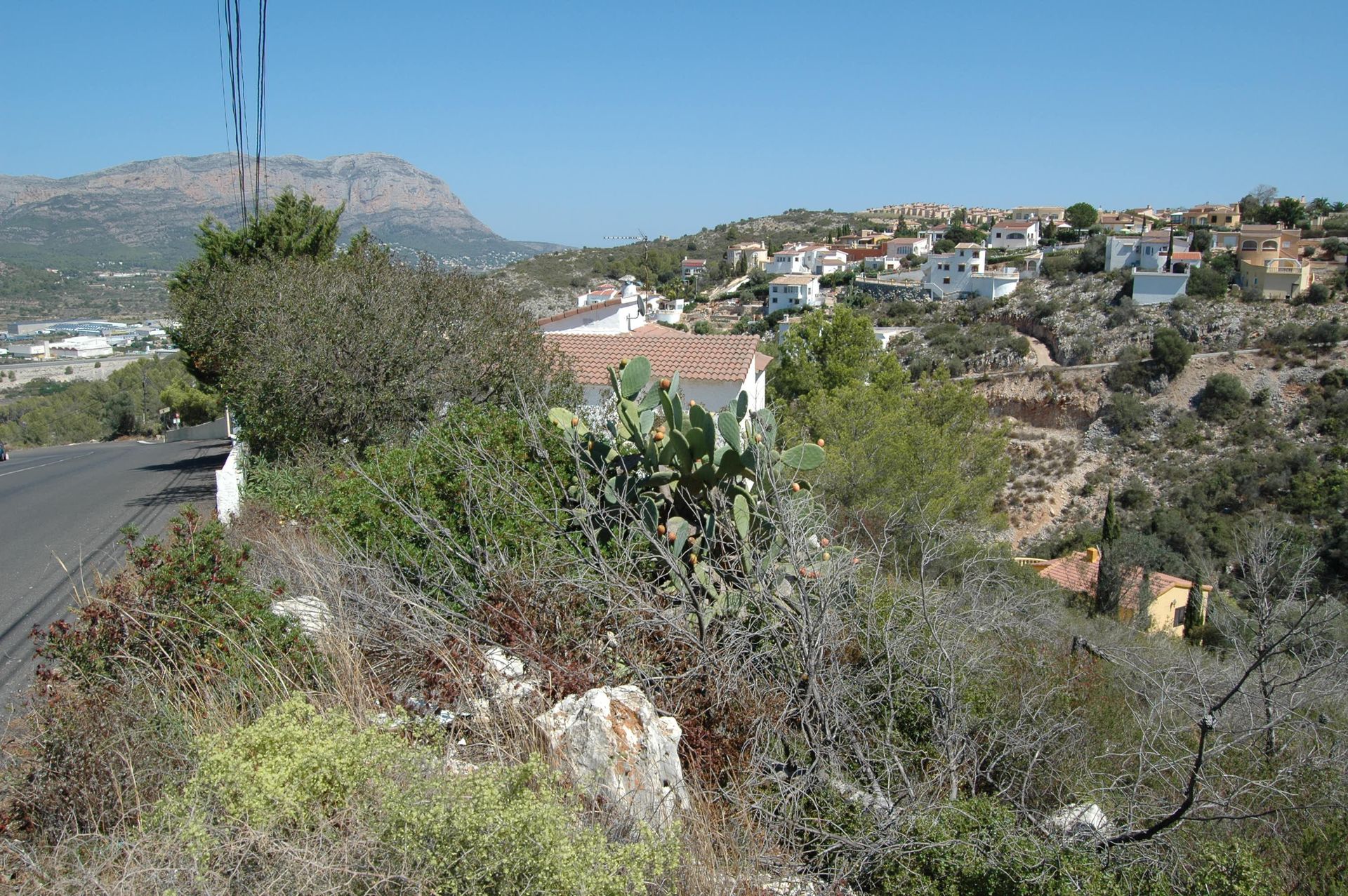 Land in Pedreguer, Comunidad Valenciana 11324710