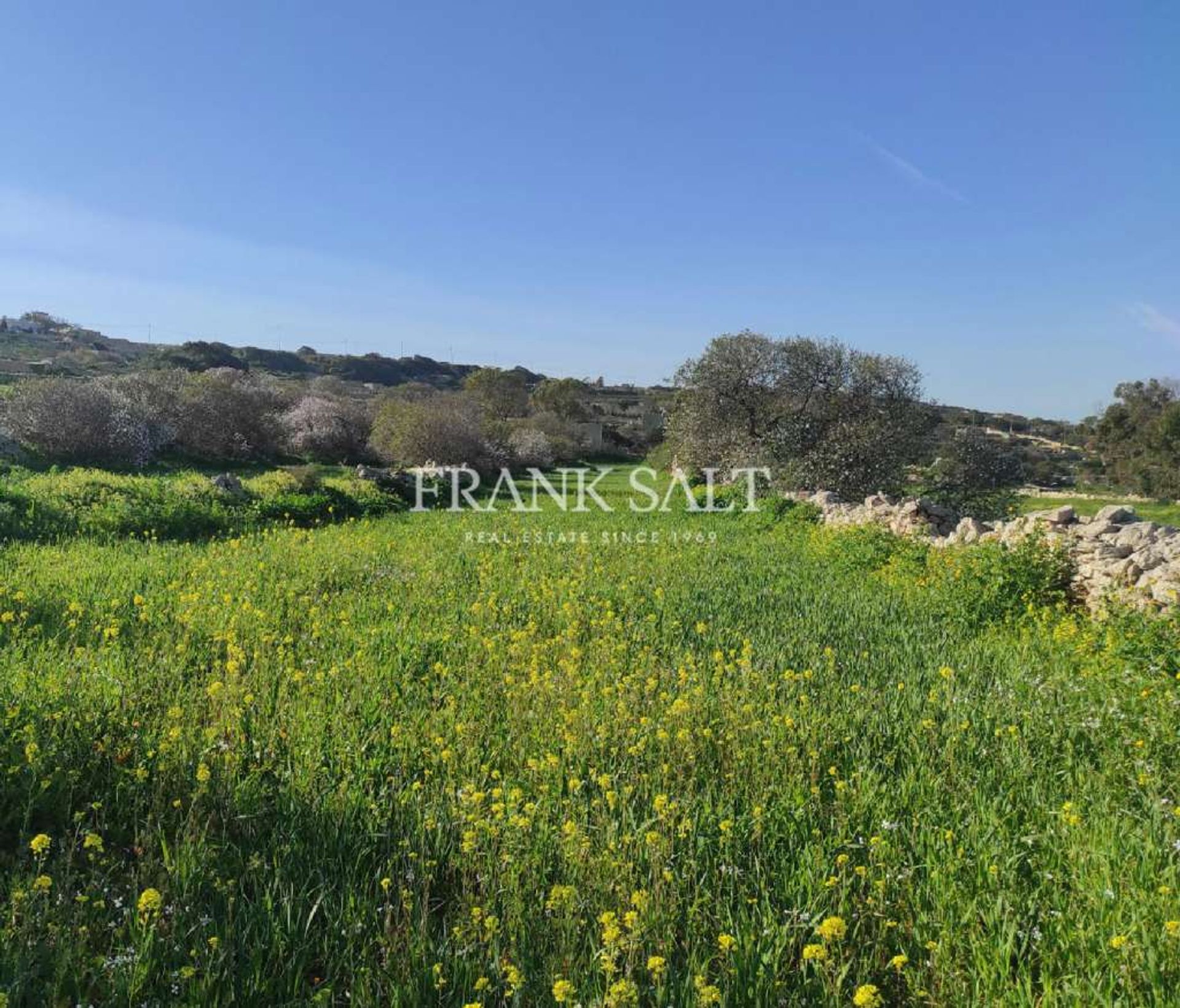 House in Zurrieq,  11325098