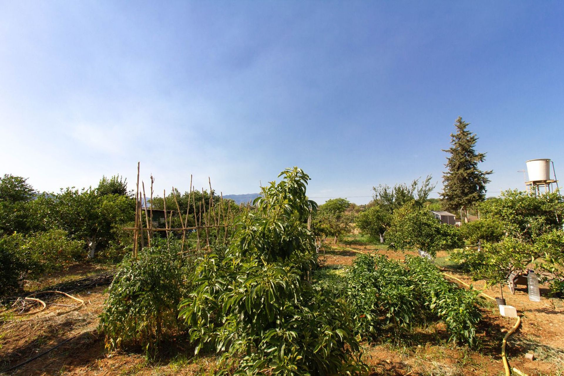 Rumah di Cártama, Andalucía 11325134