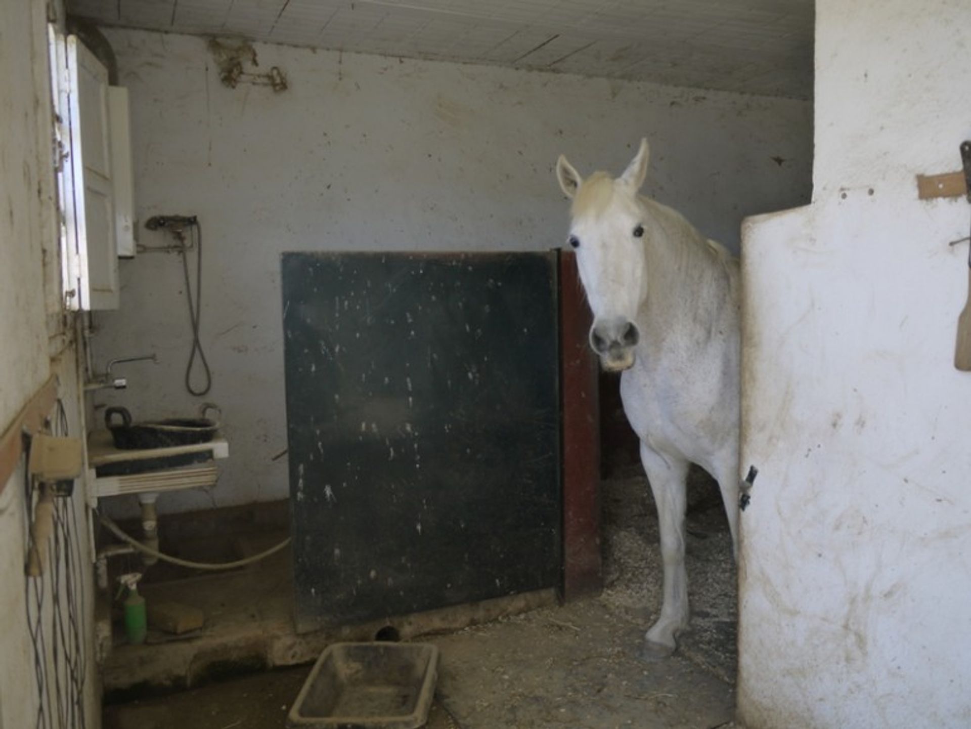 House in Ronda, Andalucía 11325553