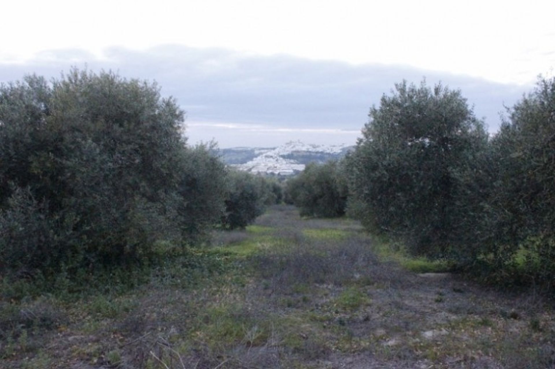 ארץ ב ארקוס דה לה פרונטרה, אנדלוסיה 11325763