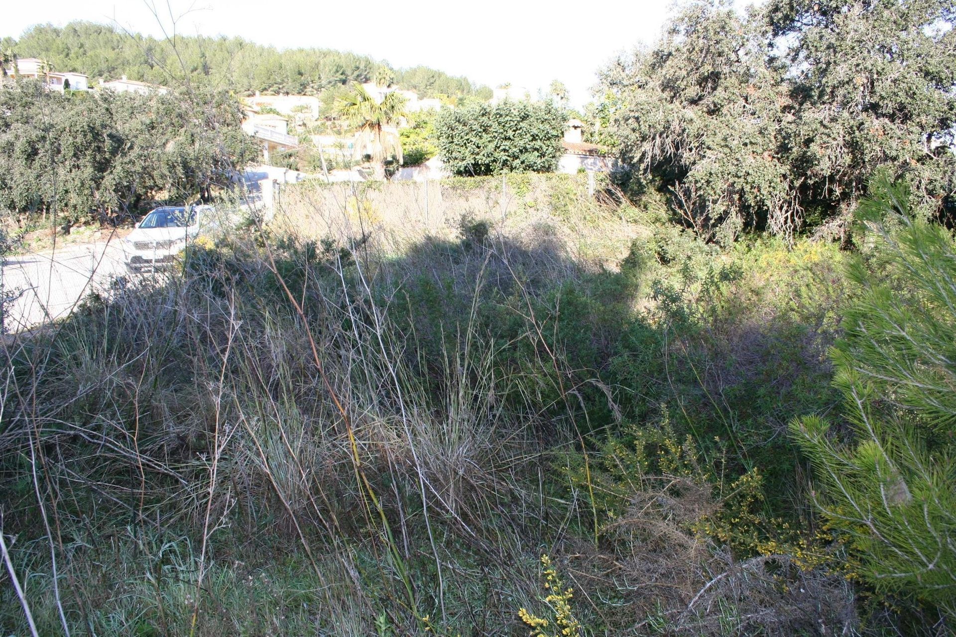 Land in Denia, Valencia 11326321