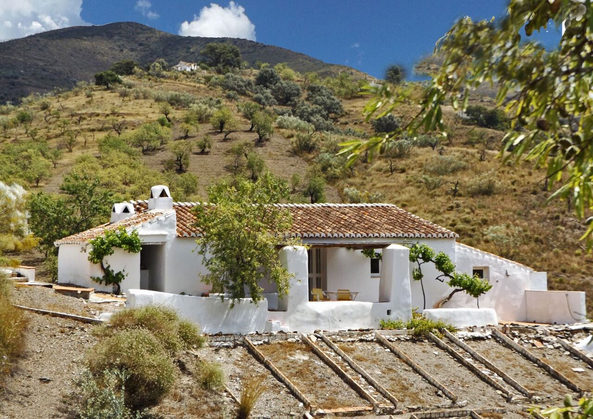 Casa nel Canillas de Aceituno, Andalucía 11326393