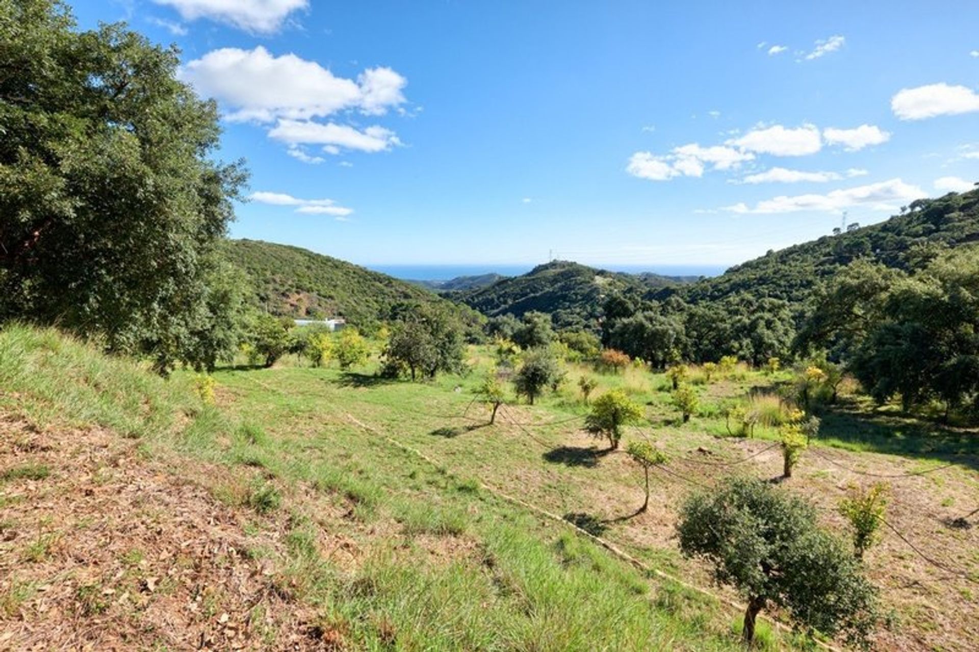 Huis in Estepona, Andalucía 11326473