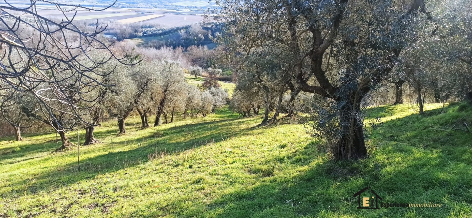 rumah dalam Segni, Lazio 11327113