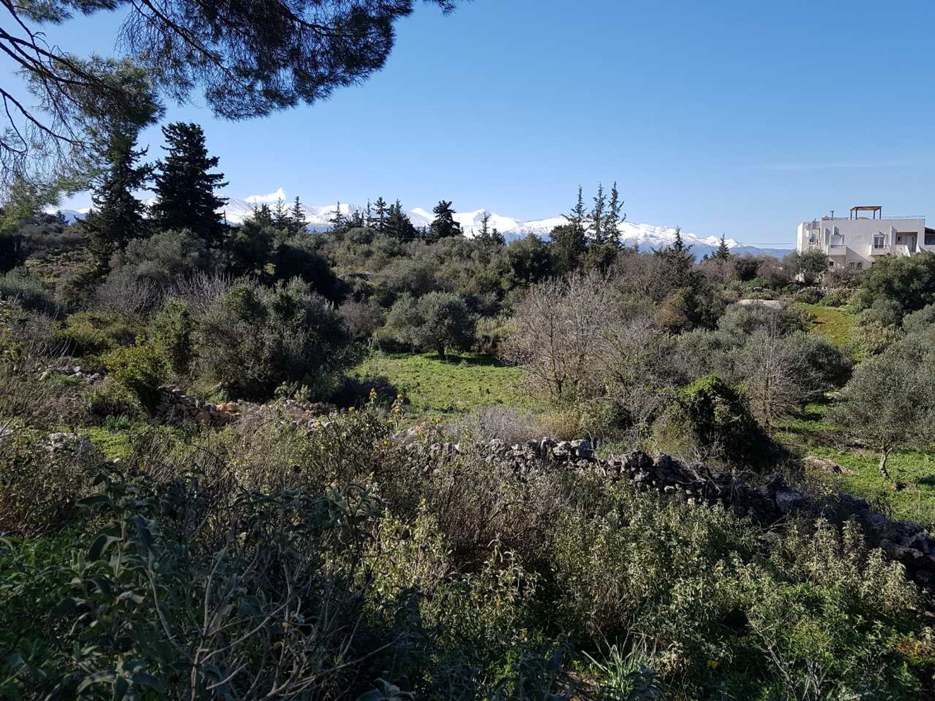 Land im Kefalas, Kriti 11327249