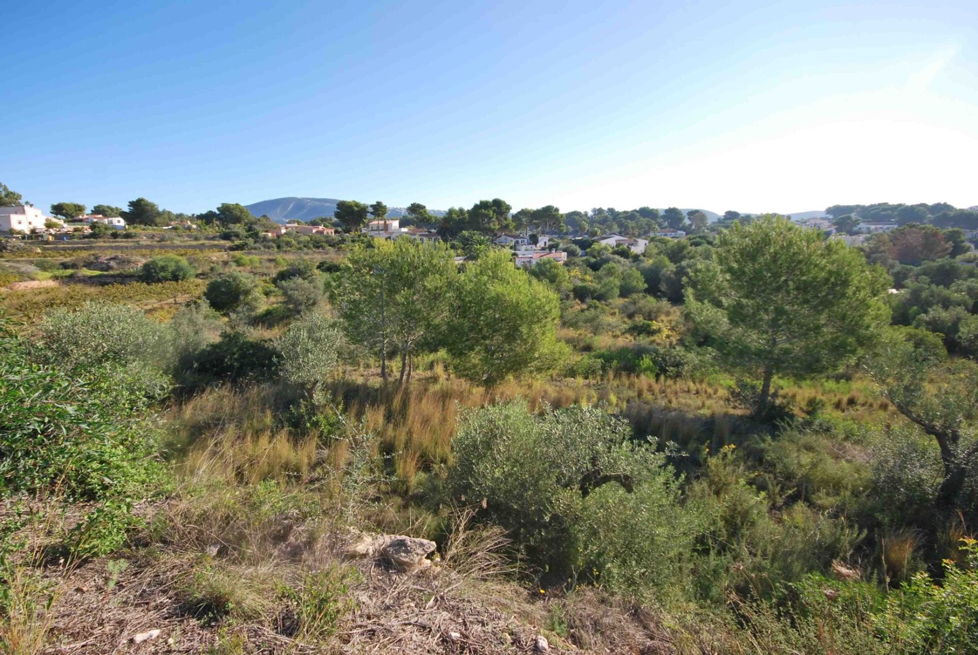 Land in Teulada, Comunidad Valenciana 11327393