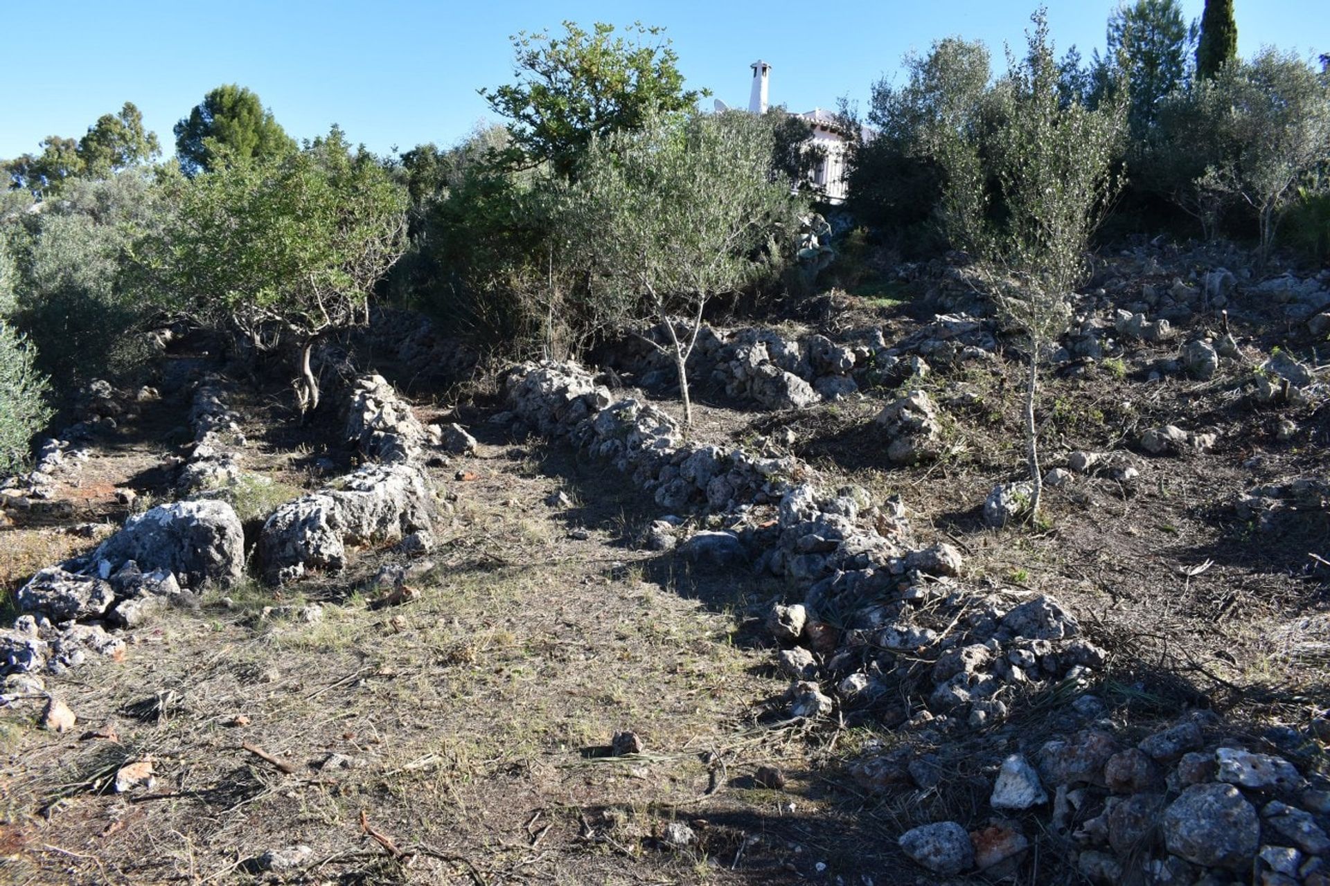 Tierra en Pego, Comunidad Valenciana 11327504