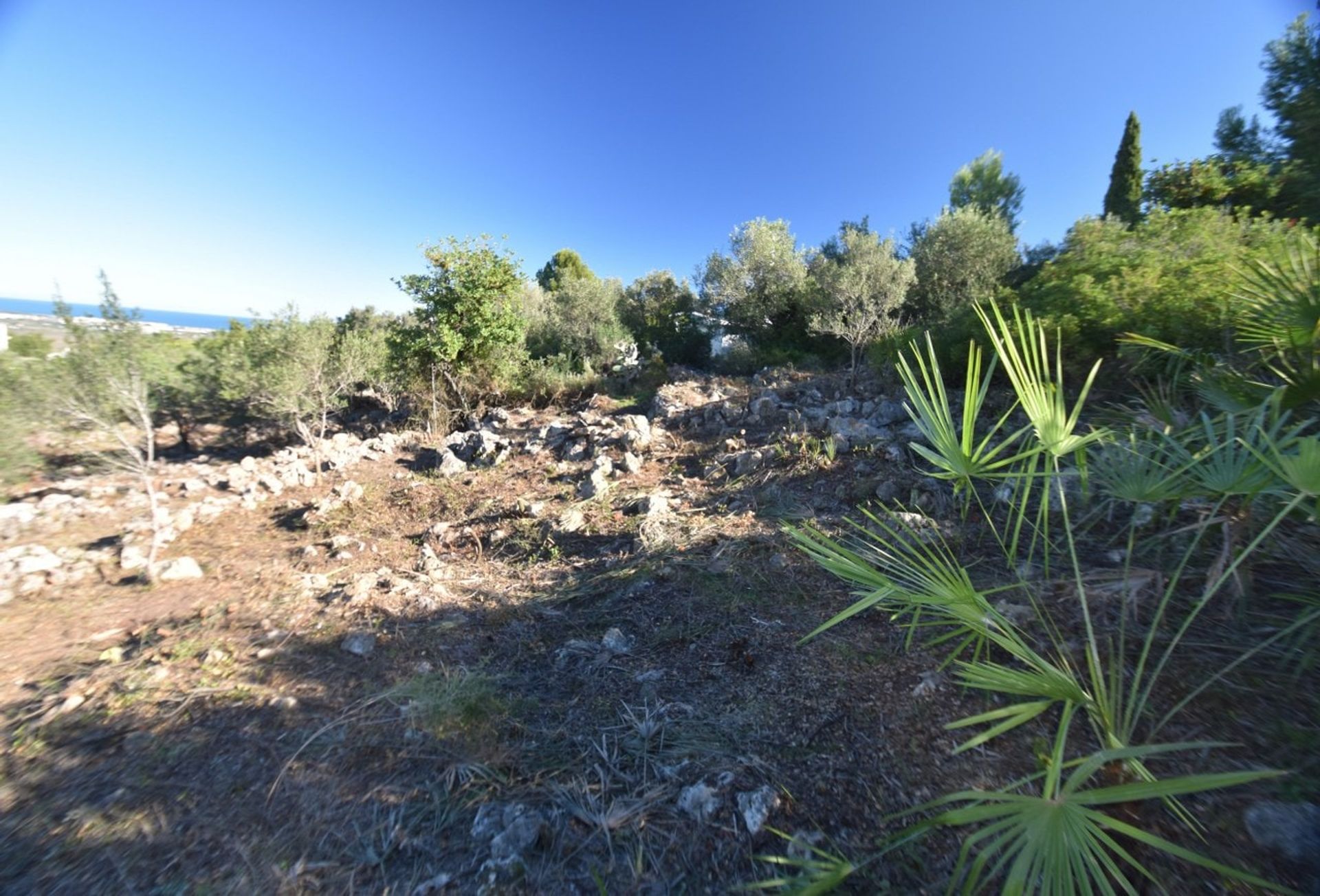 Terre dans Beniméli, Valence 11327504