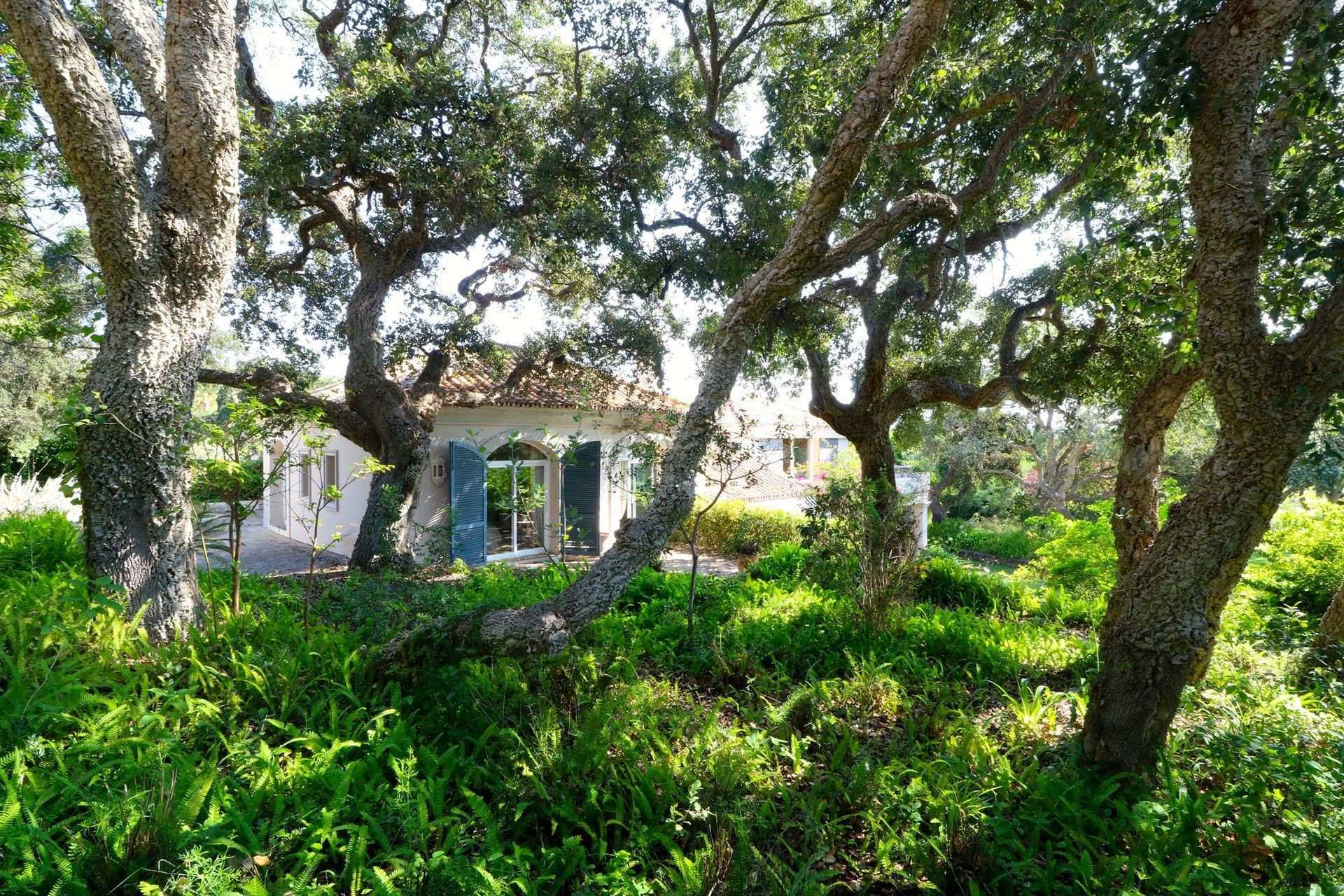 casa no San Roque, Andalucía 11327966