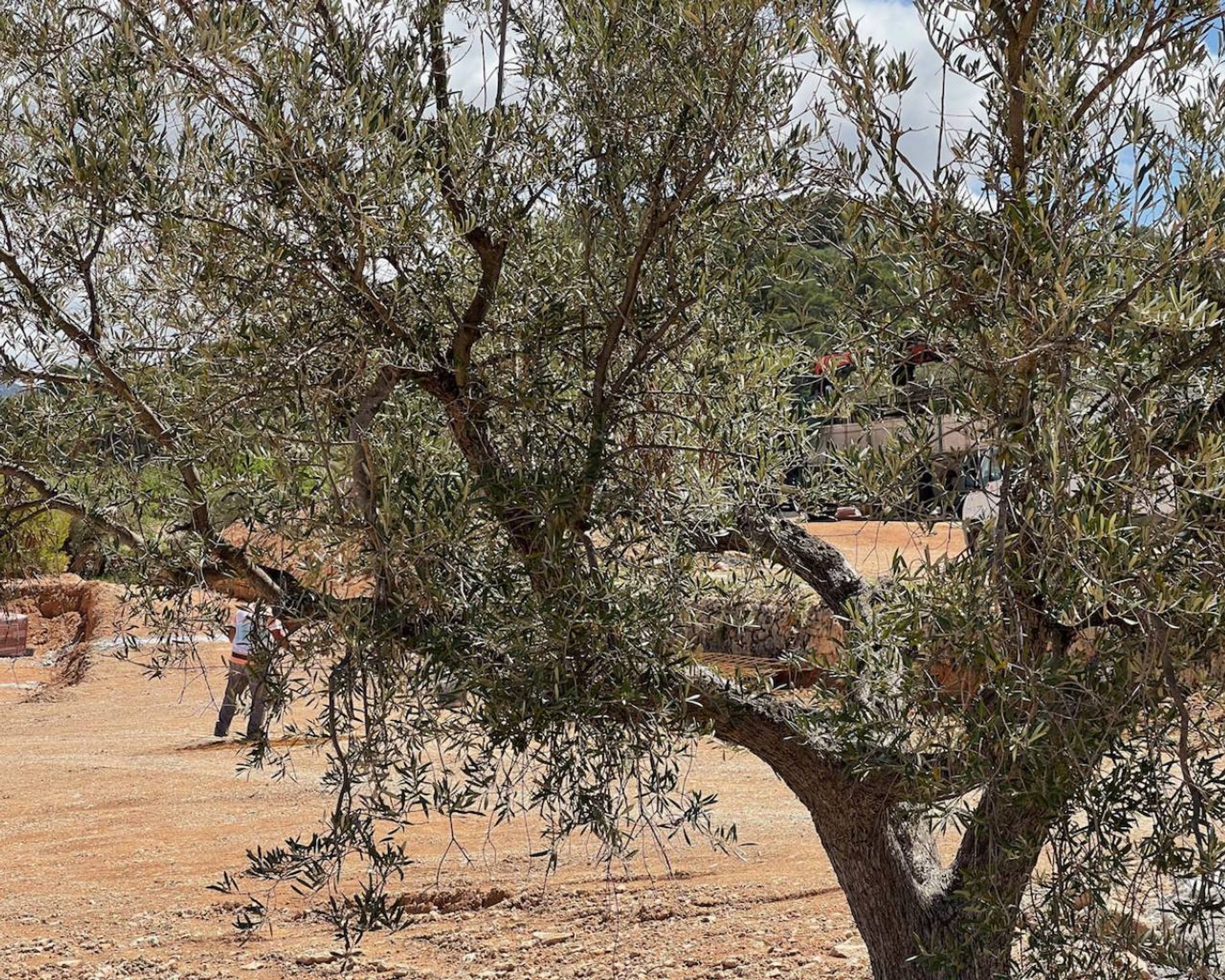 σπίτι σε Pinoso, Comunidad Valenciana 11328187