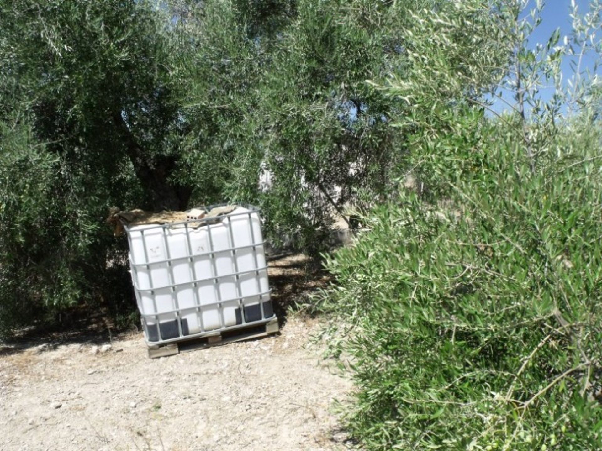 casa en olvera, Andalucía 11329218