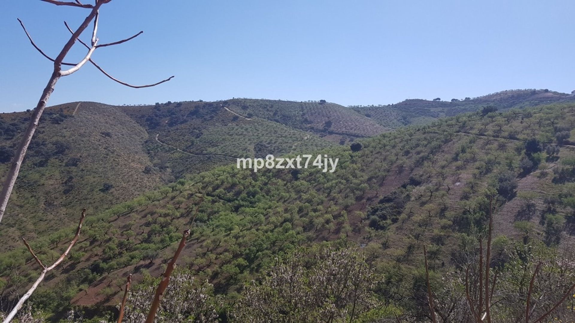 Casa nel Colmenar, Andalucía 11329264