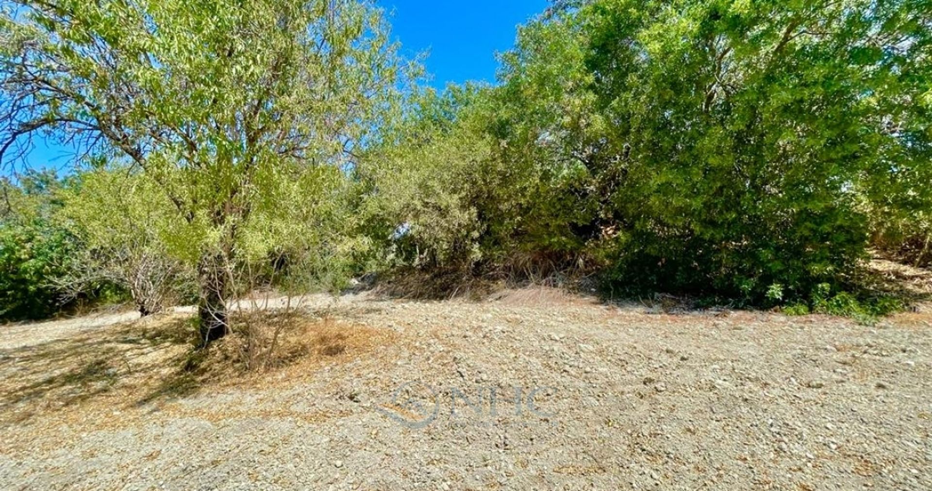 Land i Simou, Paphos 11329869