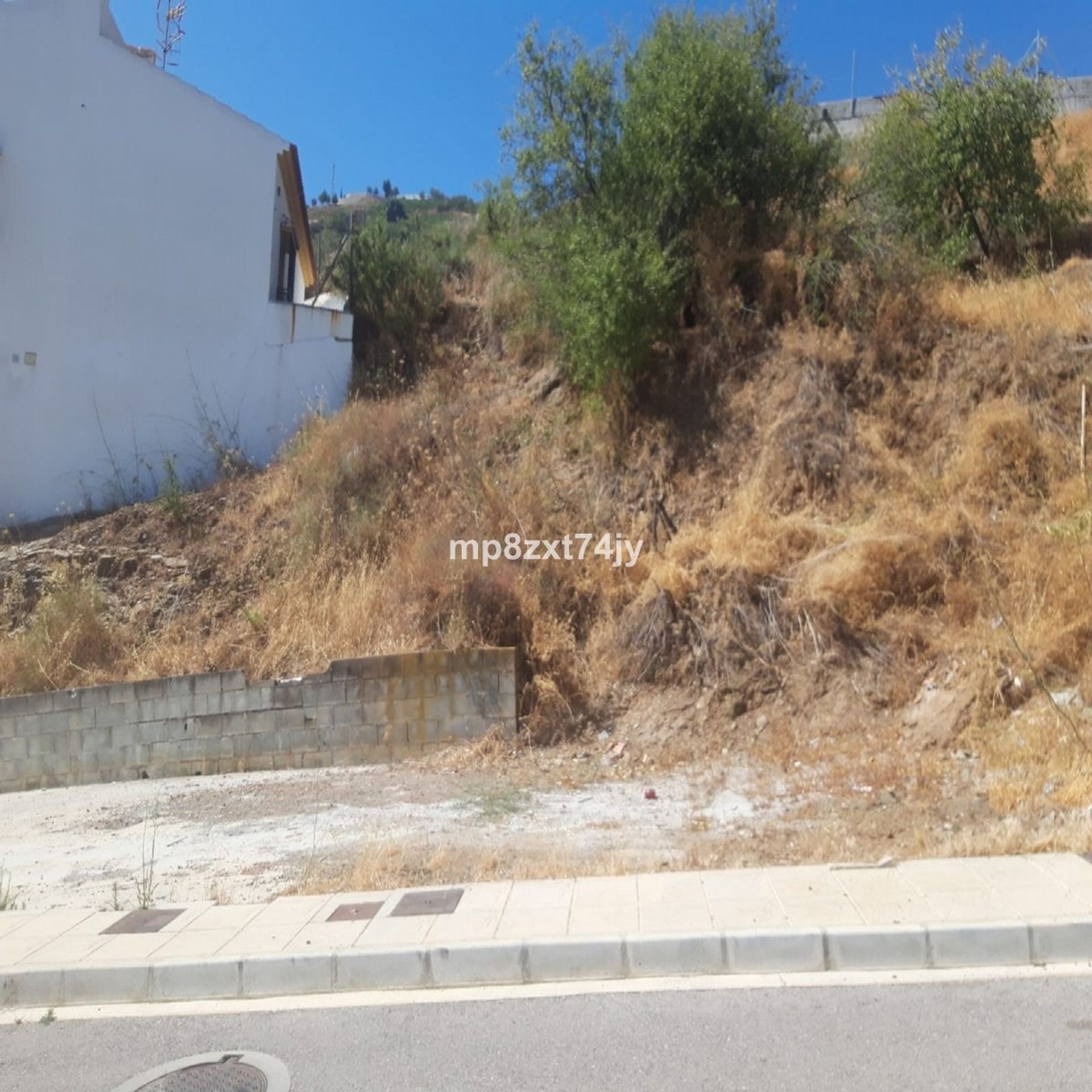 Sbarcare nel Iznate, Andalusia 11330082