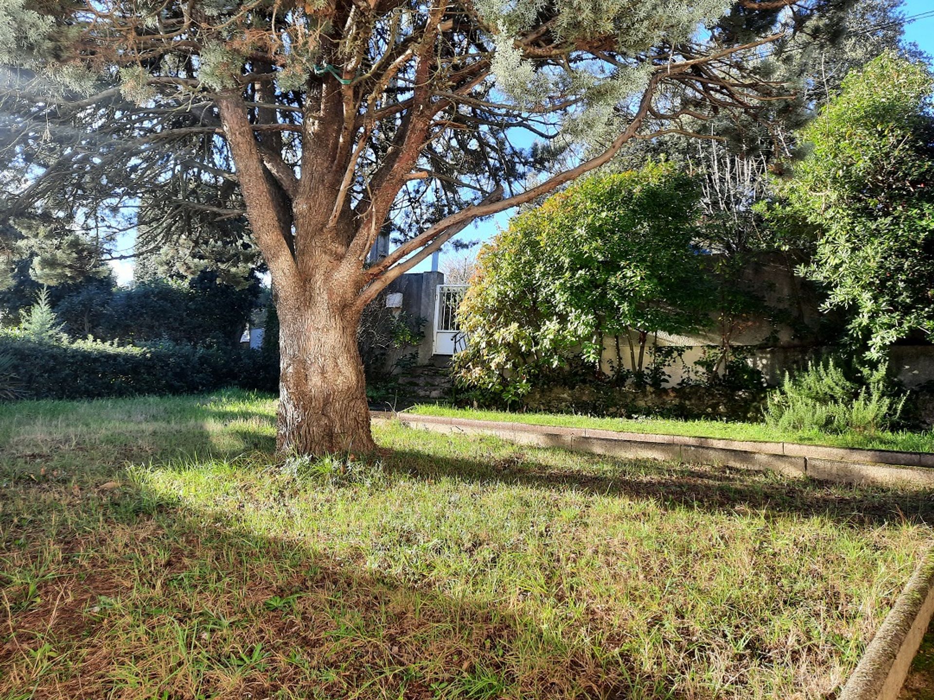 σπίτι σε Faugères, Occitanie 11330902