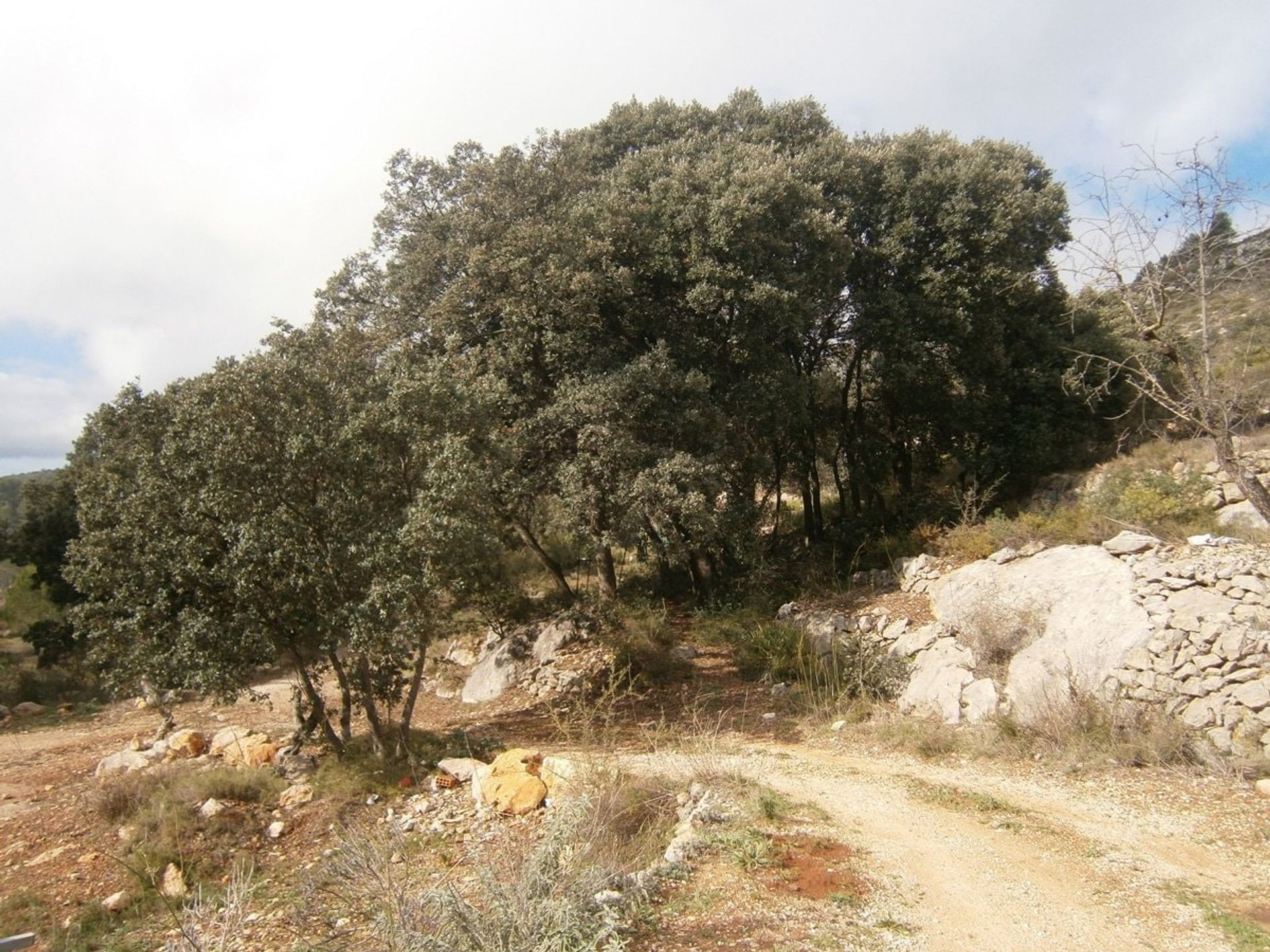 loger dans Castell de Castells, Comunidad Valenciana 11331943