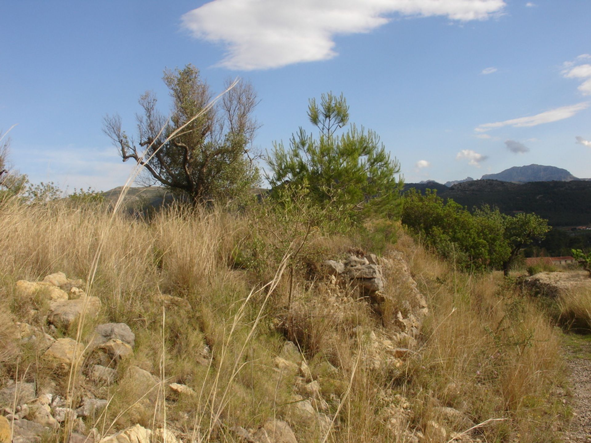 Tierra en Llíber, Valencia 11332081