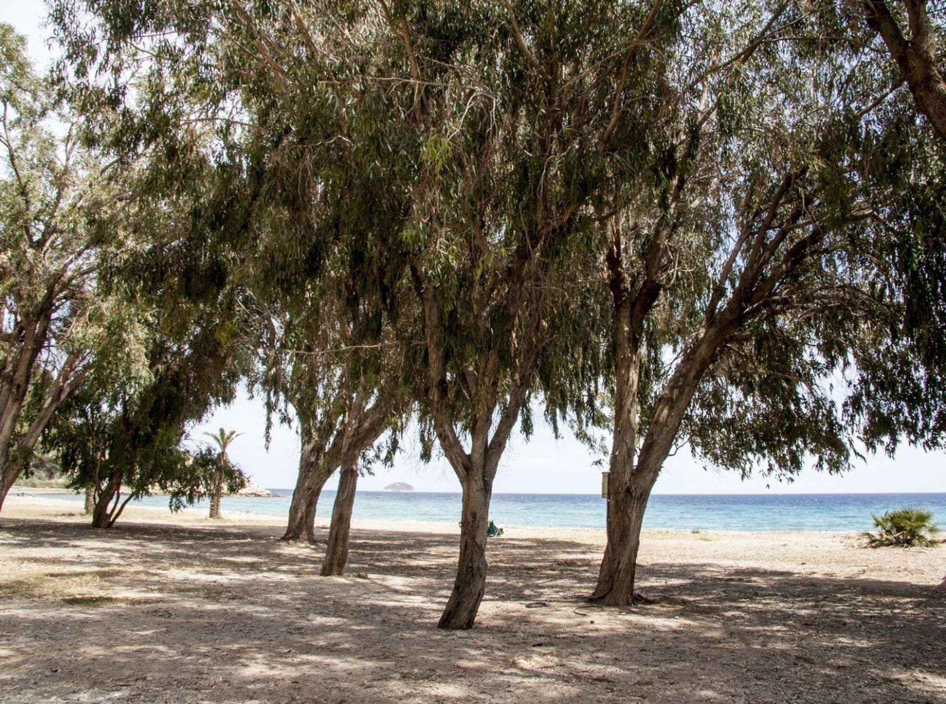 Borettslag i La Vila Joiosa, Comunidad Valenciana 11332173