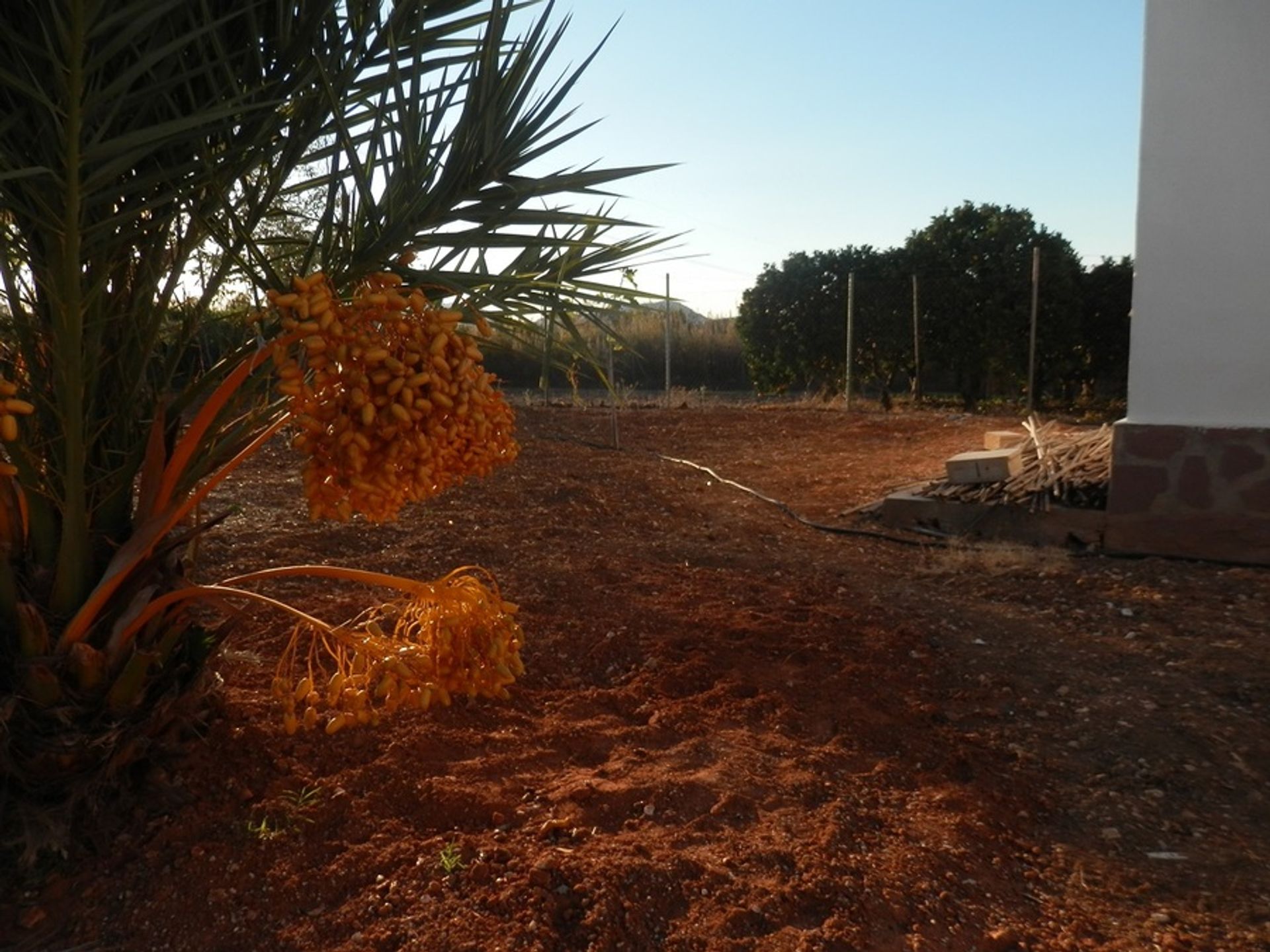 Rumah di La Font d'en Carròs, Comunidad Valenciana 11332326