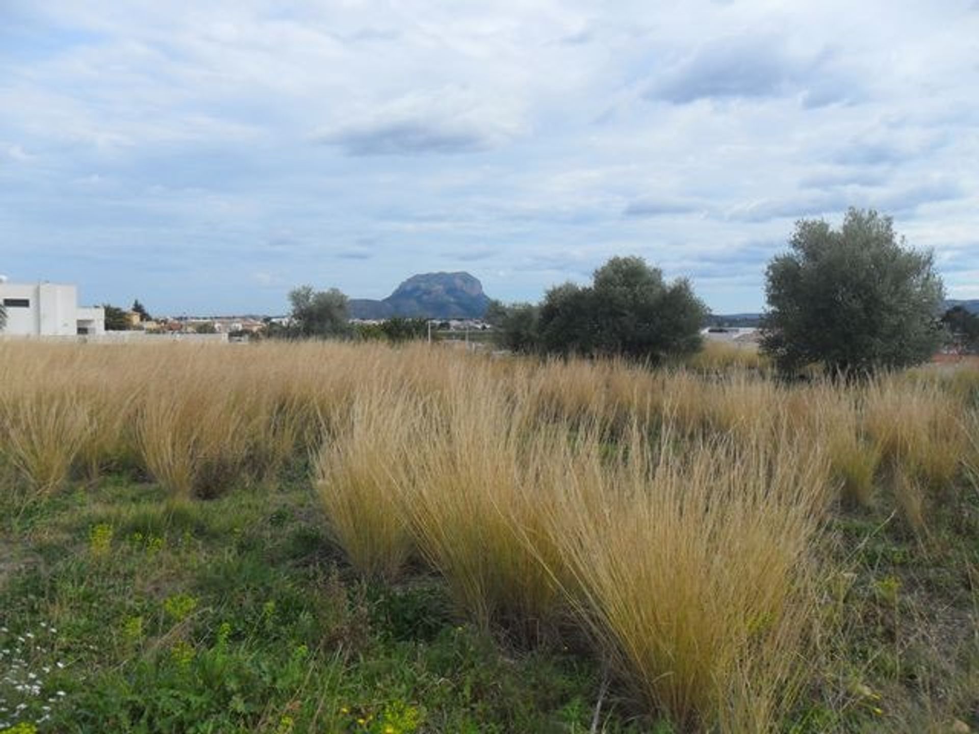 Land in Beniarbeig, Valencia 11333054