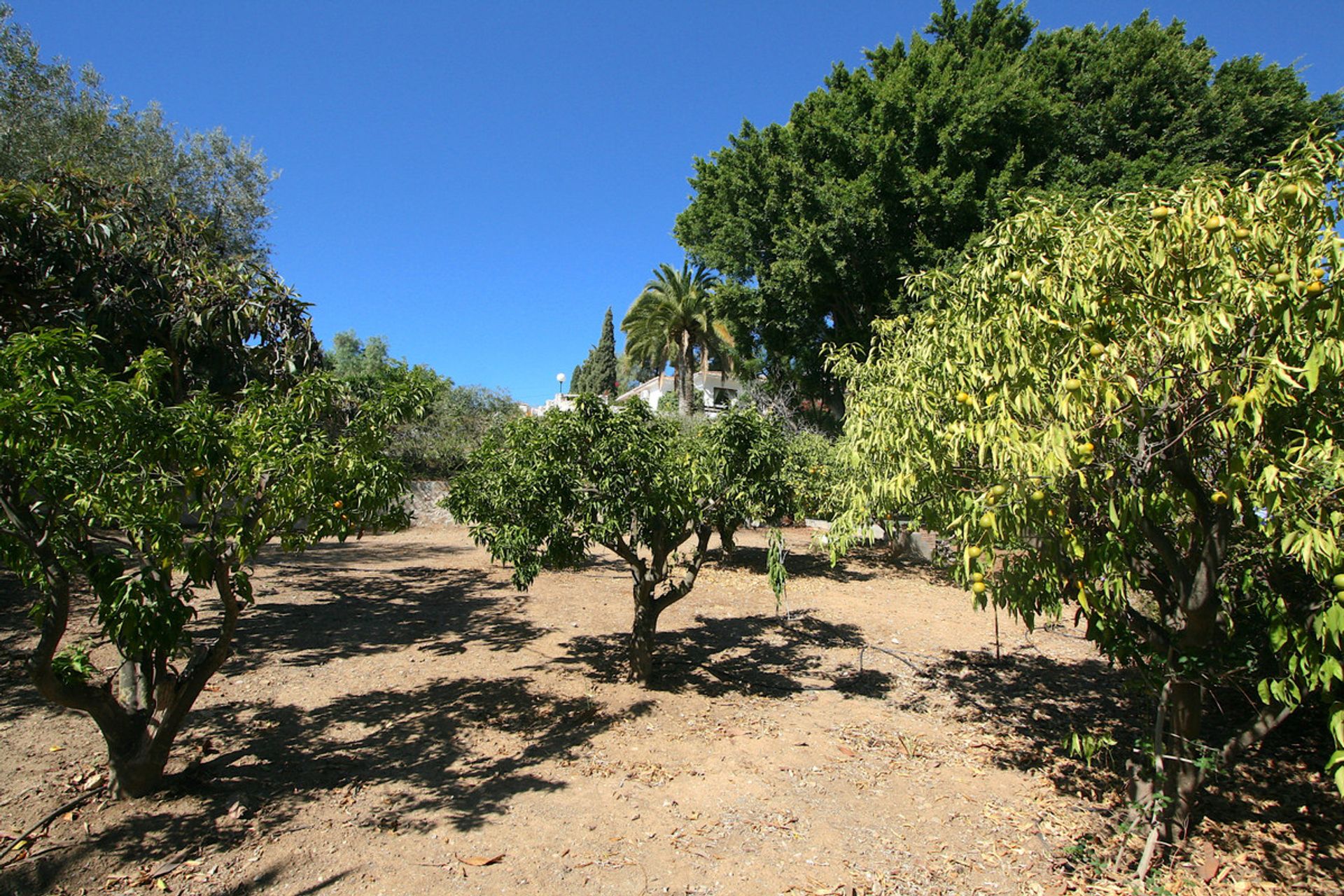 Haus im , Andalucía 11334027