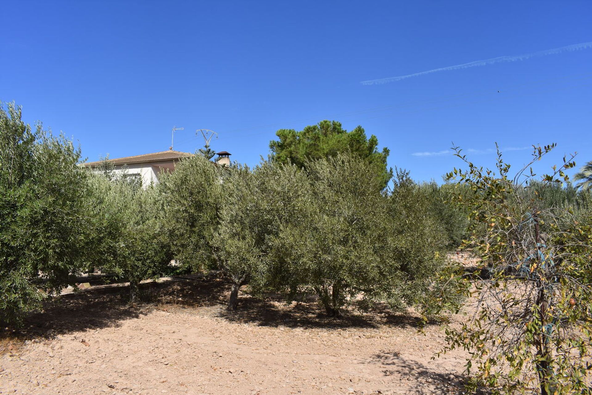 House in Paretón, Región de Murcia 11334187