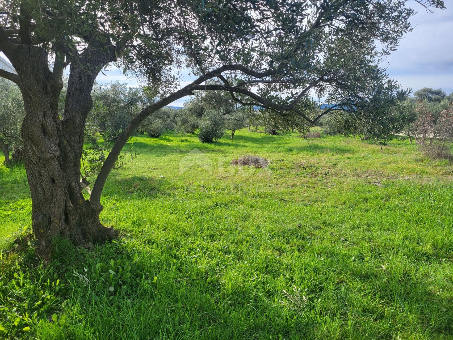 土地 在 Bibinje, Zadar County 11334919