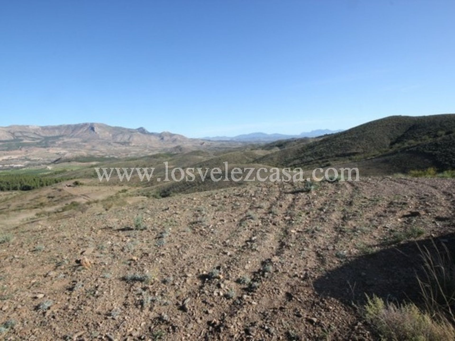 Land i Vélez-Rubio, Andalucía 11335345