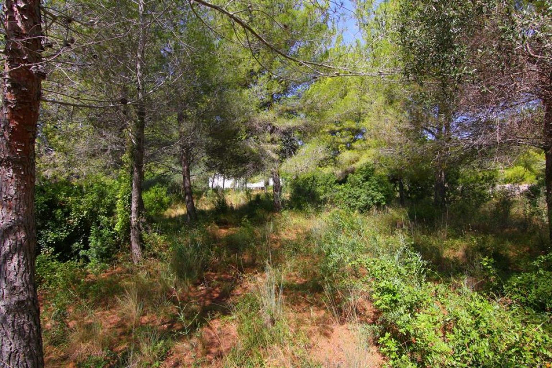 Land in Xàbia, Valencian Community 11335762