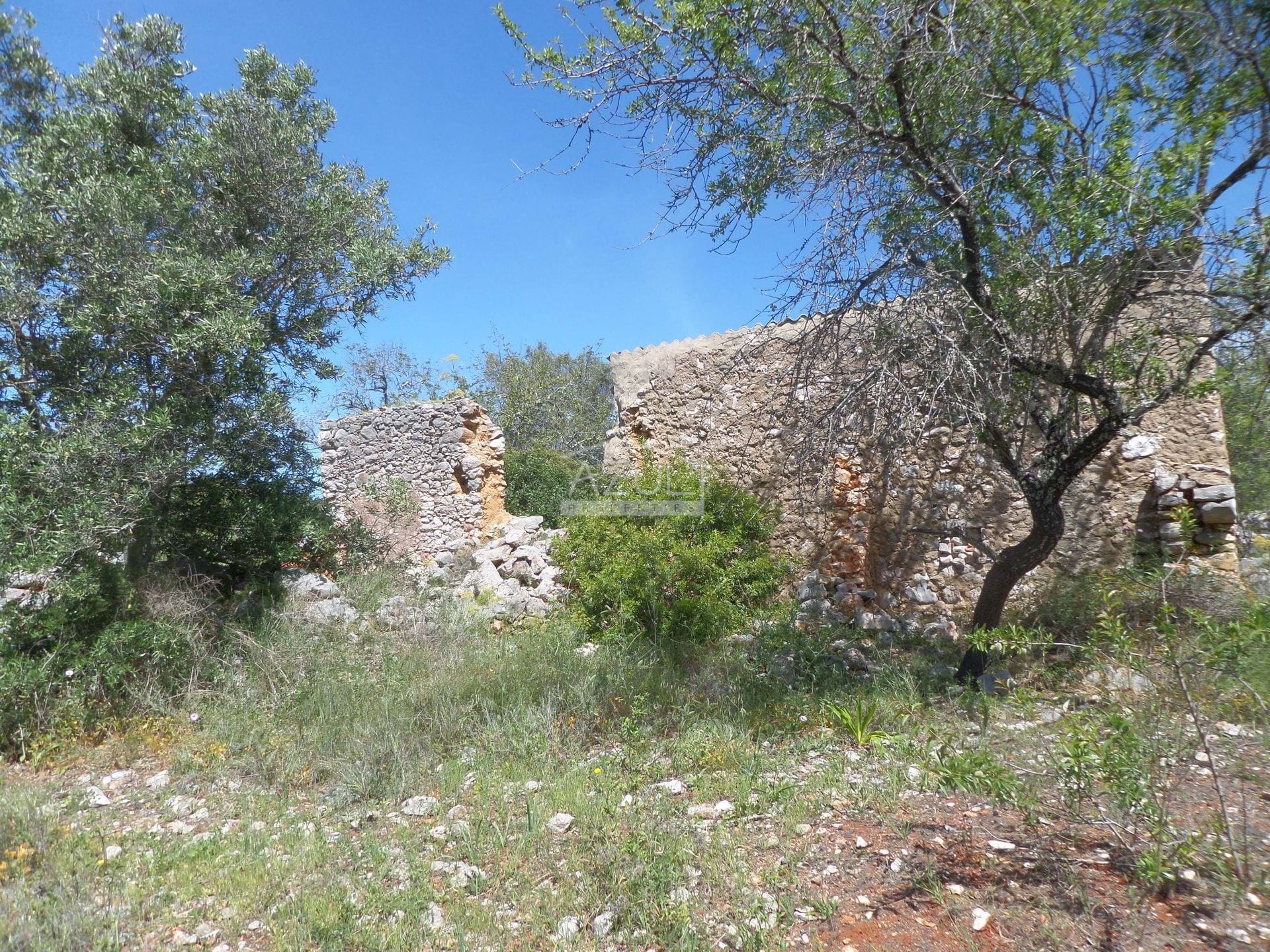 Land i Aldeia da Tor, Faro 11336072