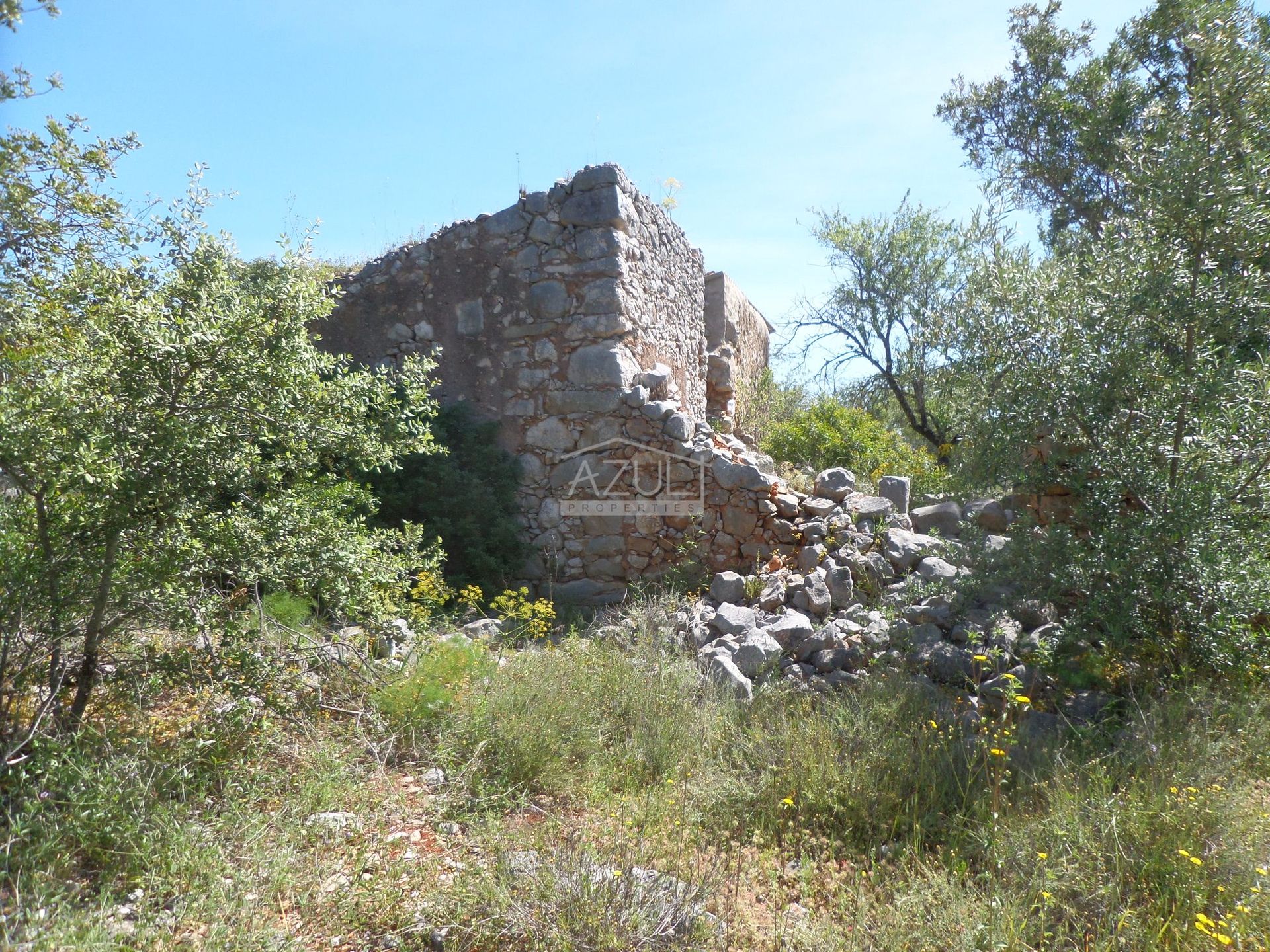 Land i Aldeia da Tor, Faro 11336072