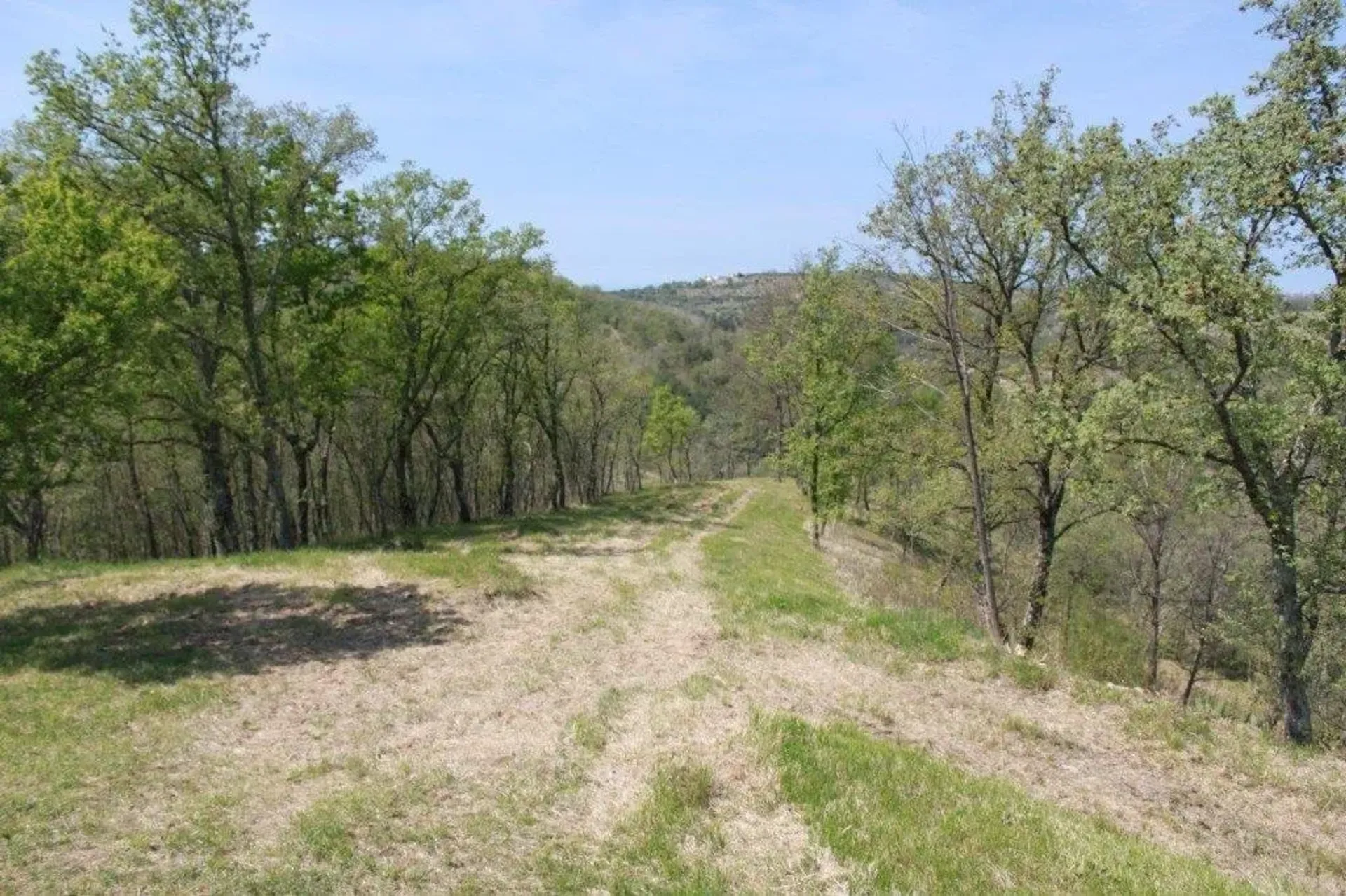 Tanah di Buje, Istria County 11337047